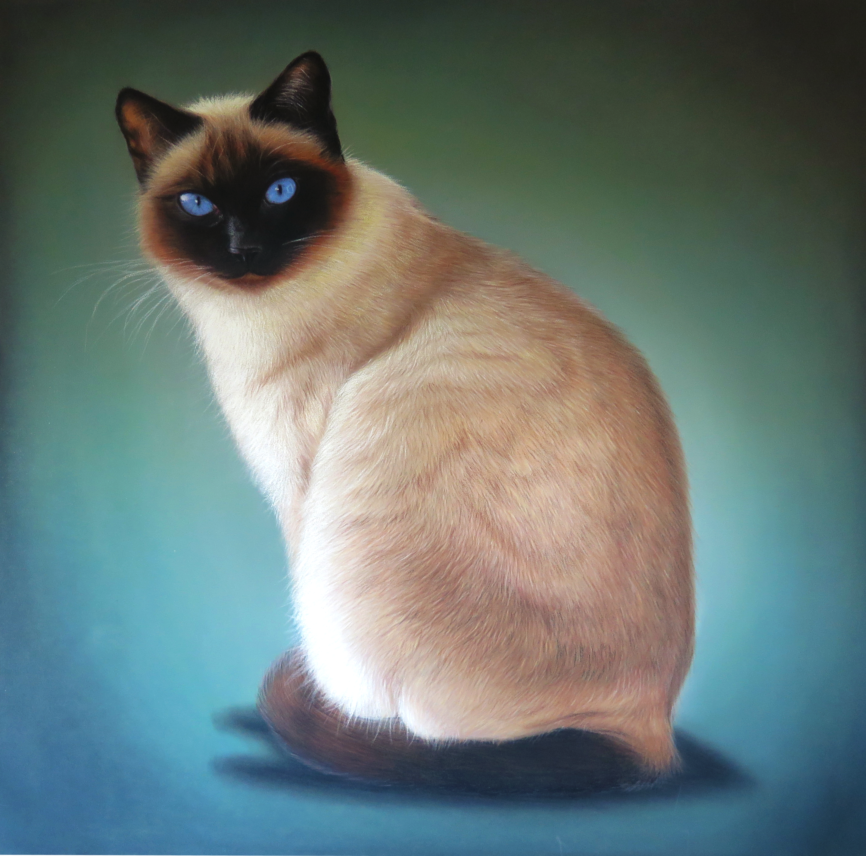 Pintura de gato siamés