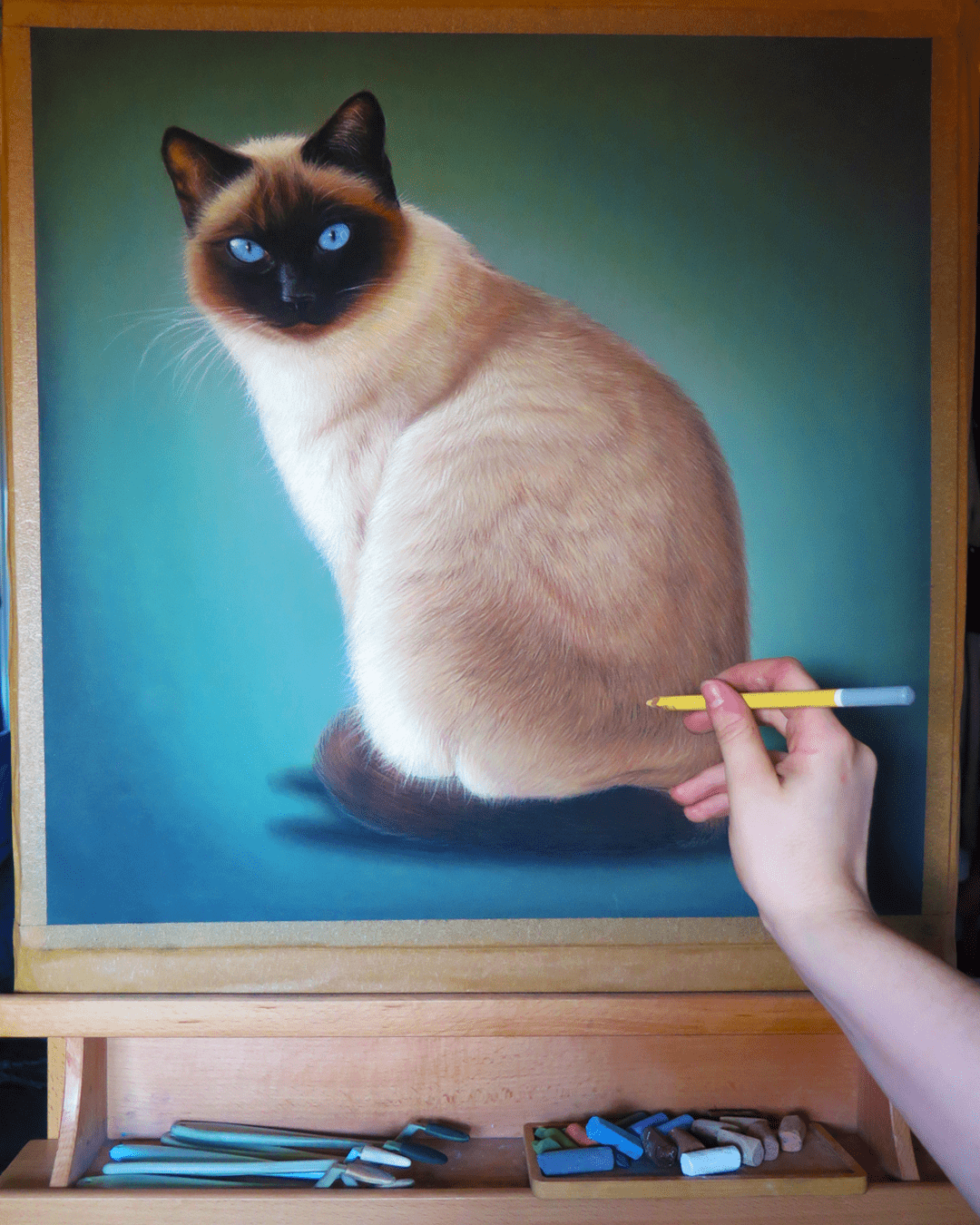 Retrato Gato Siamés