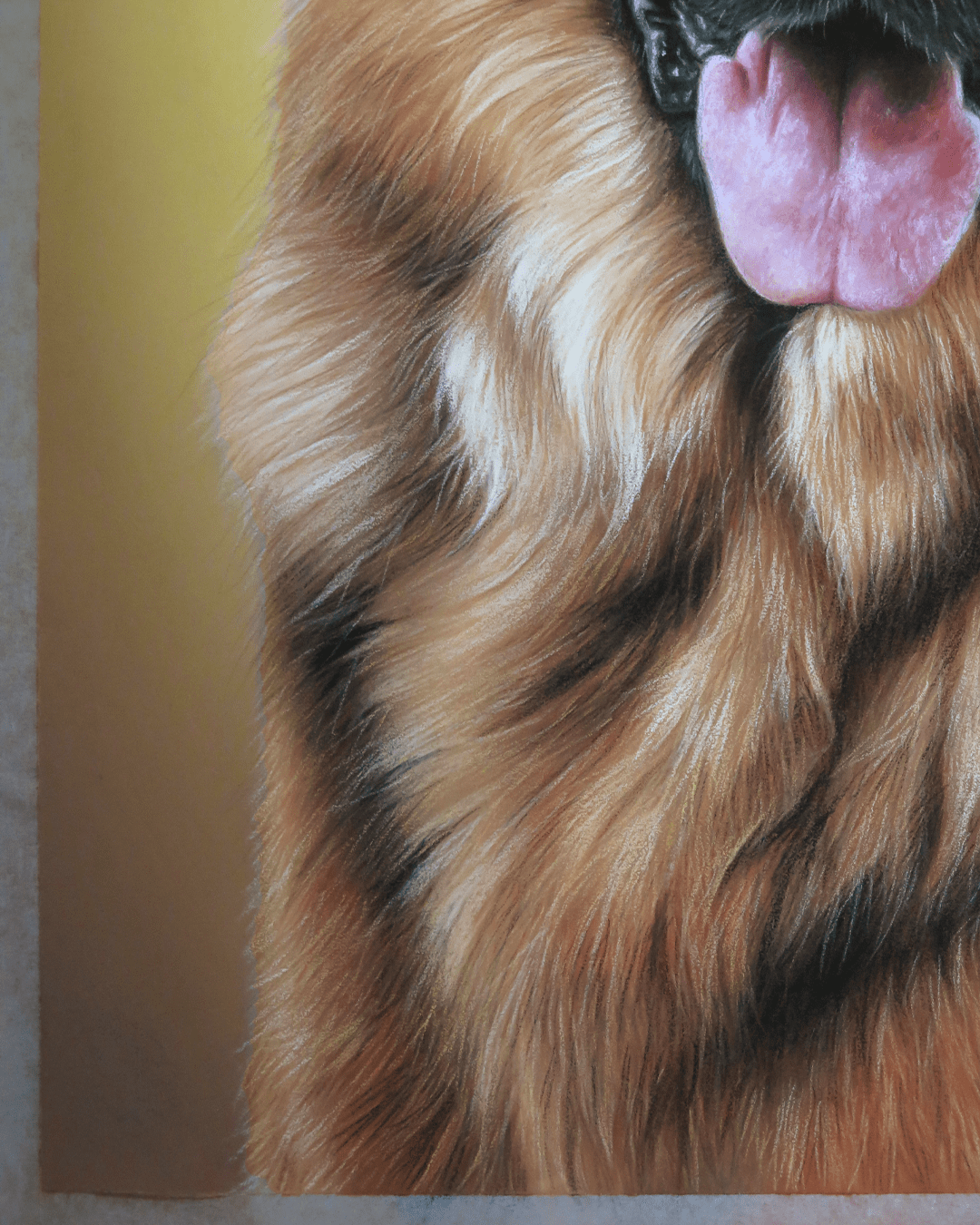 Retrato Pastor Alemán