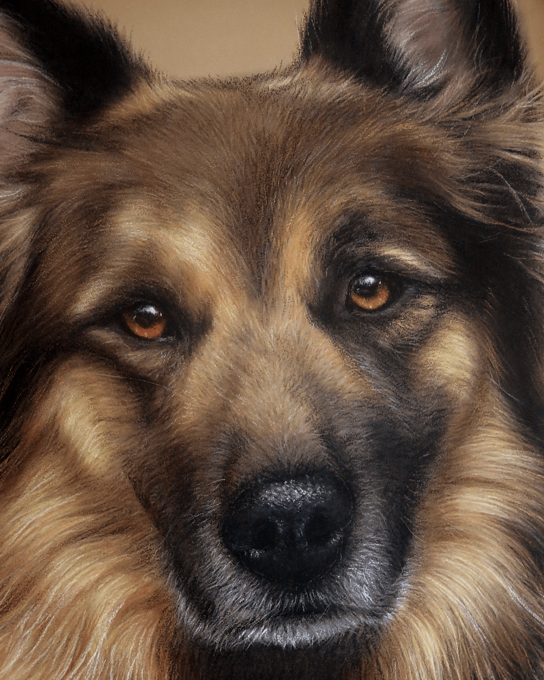 Retrato Pastor Alemán