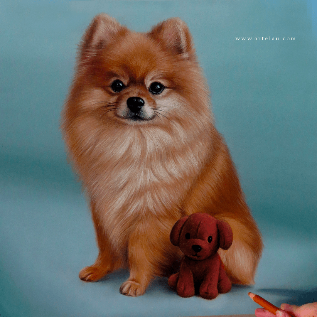 Retrato Pomeranian