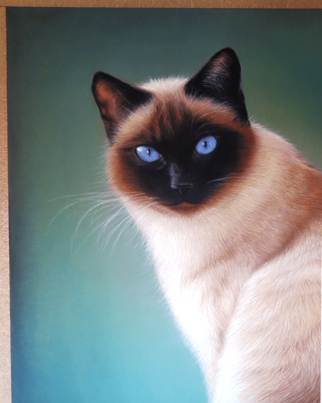 Retrato Gato Siamés