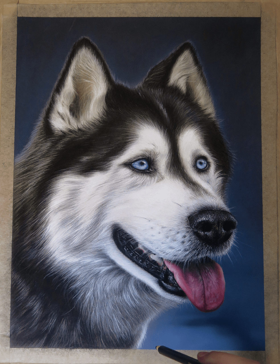 Retrato Husky Siberiano