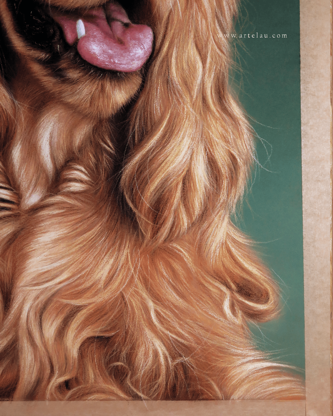 Retrato Cocker Spaniel