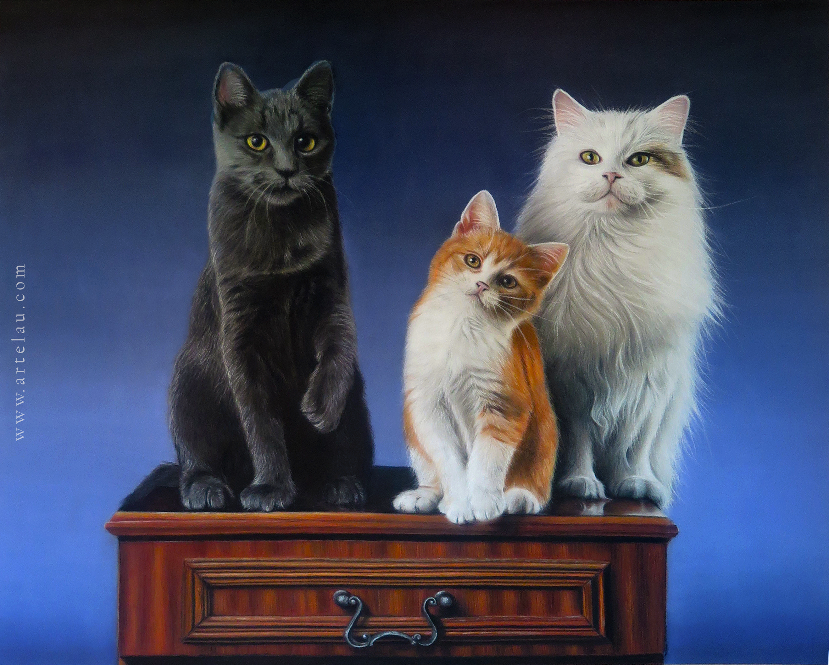 Retrato tres gatos sobre estantería