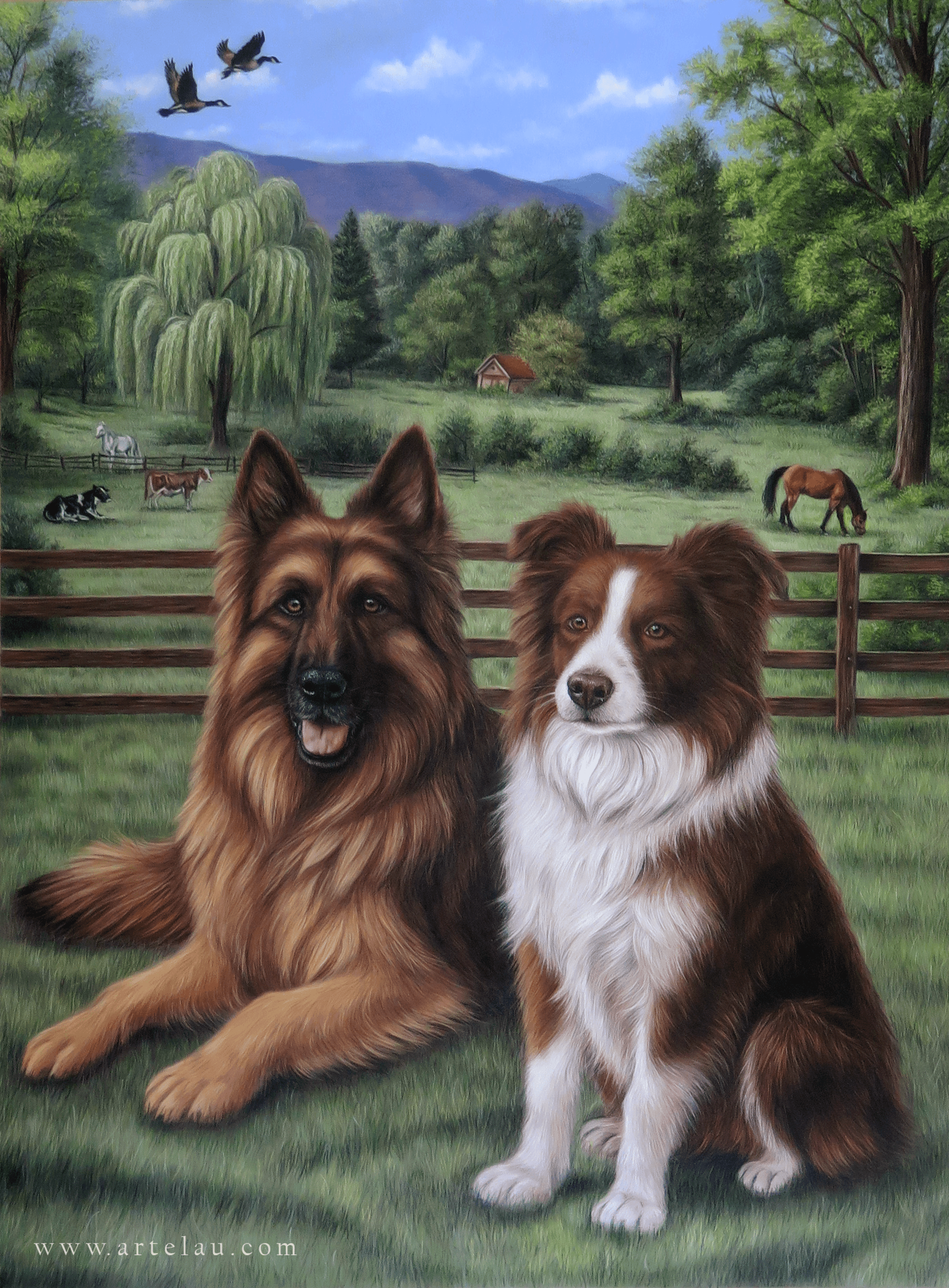 Retrato Pastor Alemán & Border Collie