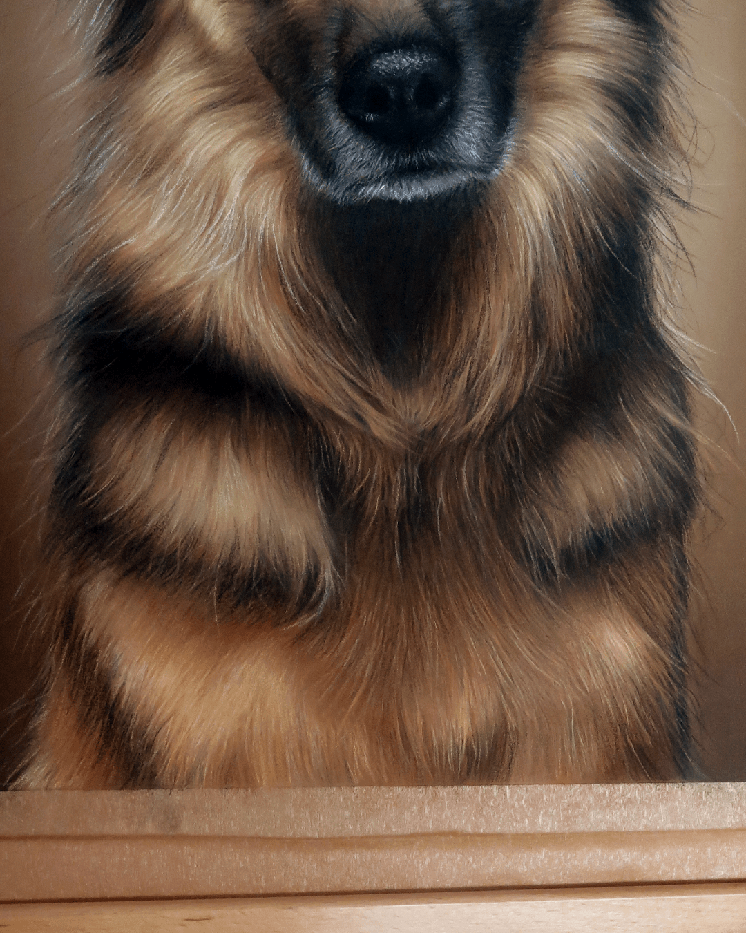 Retrato Pastor Alemán