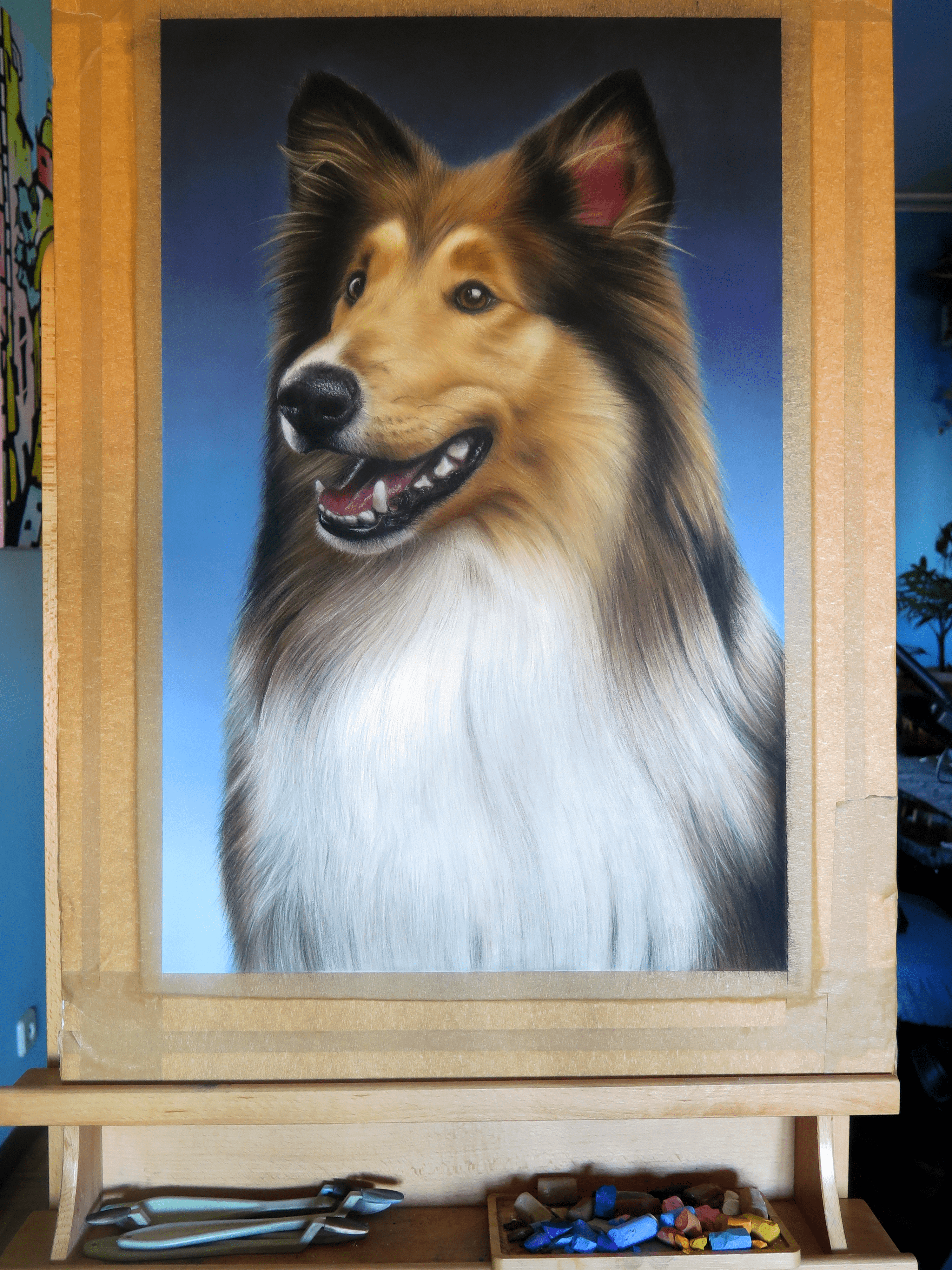 Retrato Collie