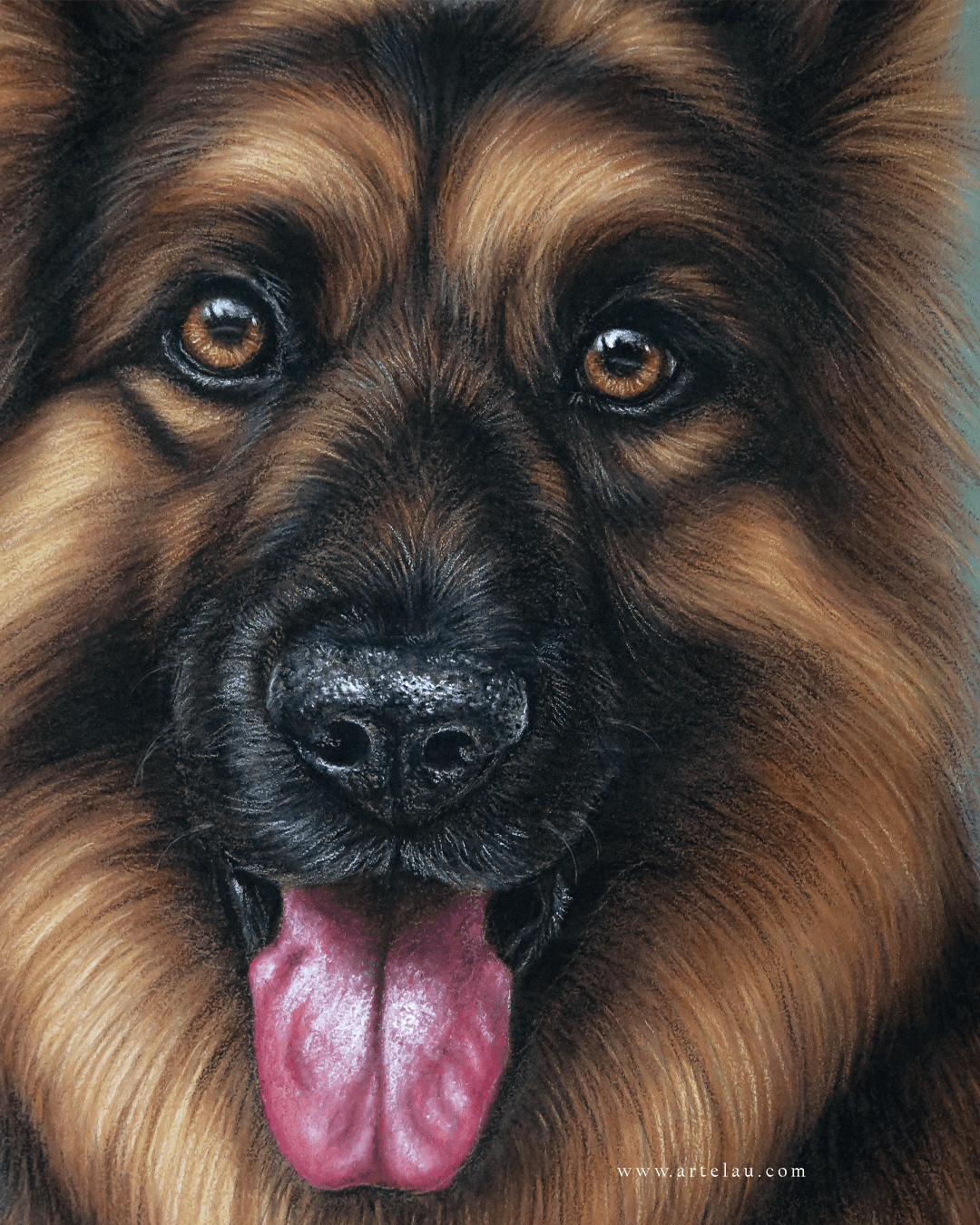 Retrato Pastor Alemán