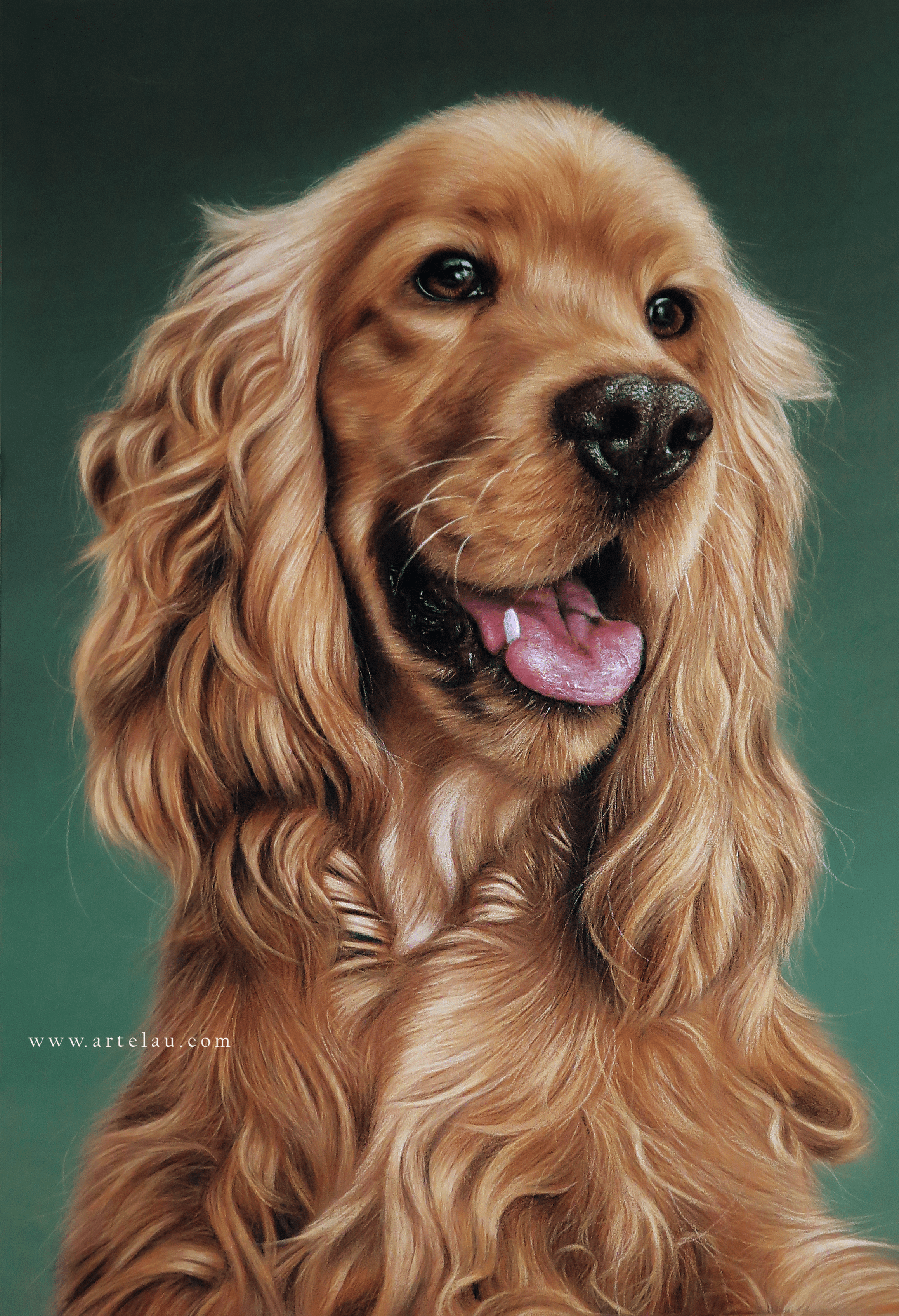 Retrato Cocker Spaniel