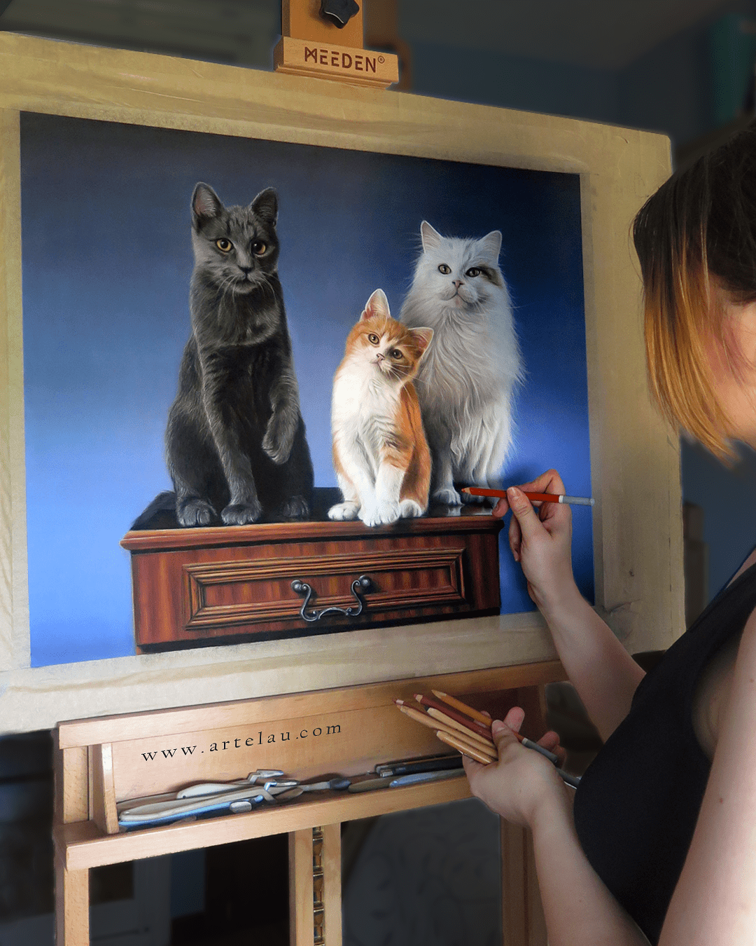 Retrato tres gatos sobre estantería