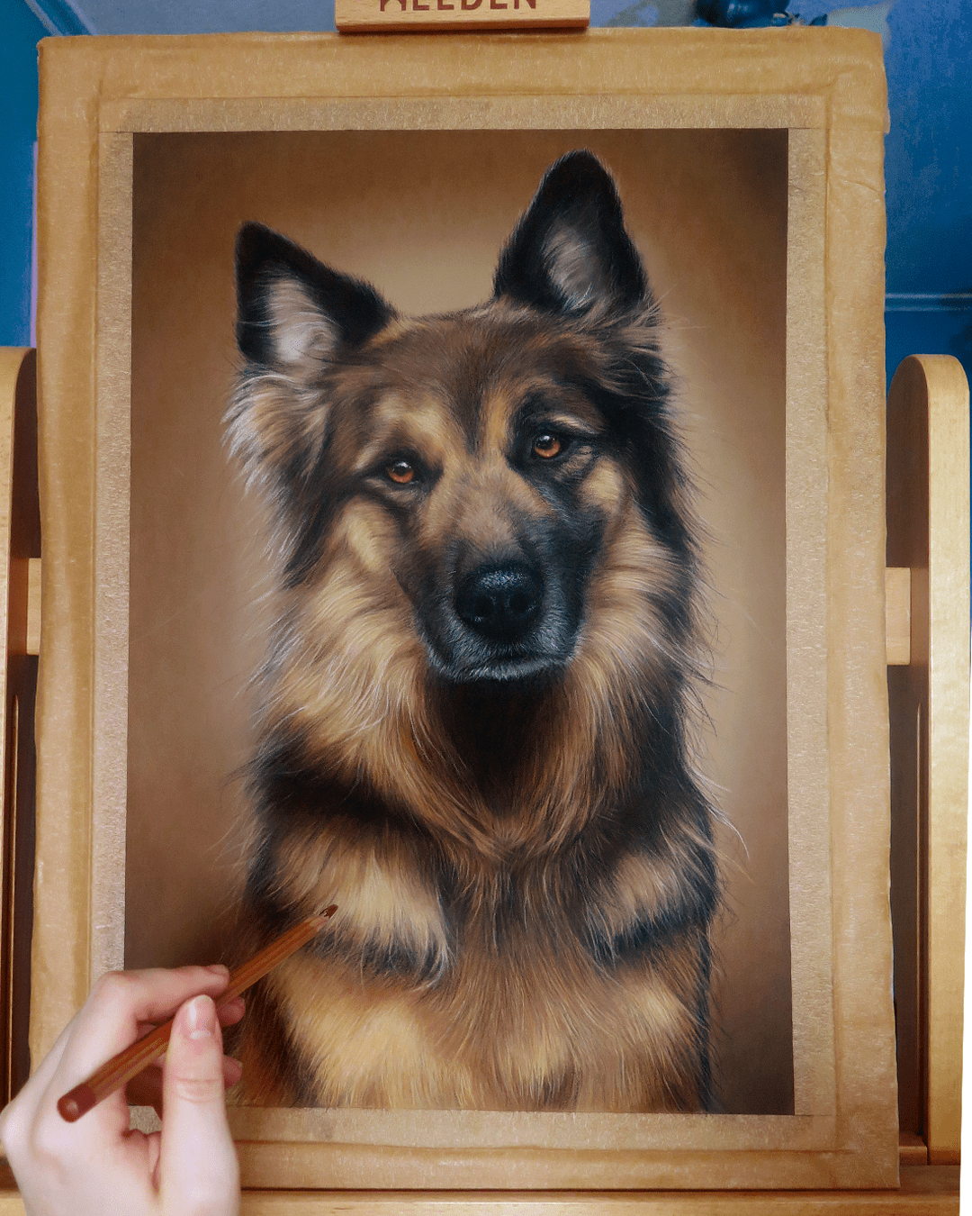 Retrato Pastor Alemán