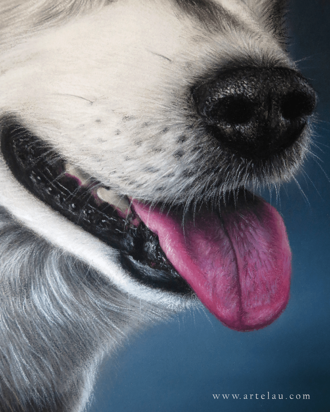 Retrato Husky Siberiano