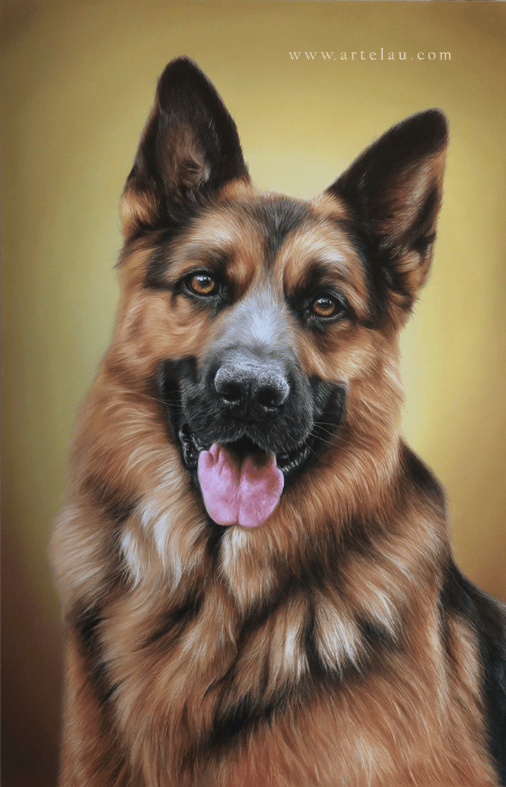 Retrato Pastor Alemán