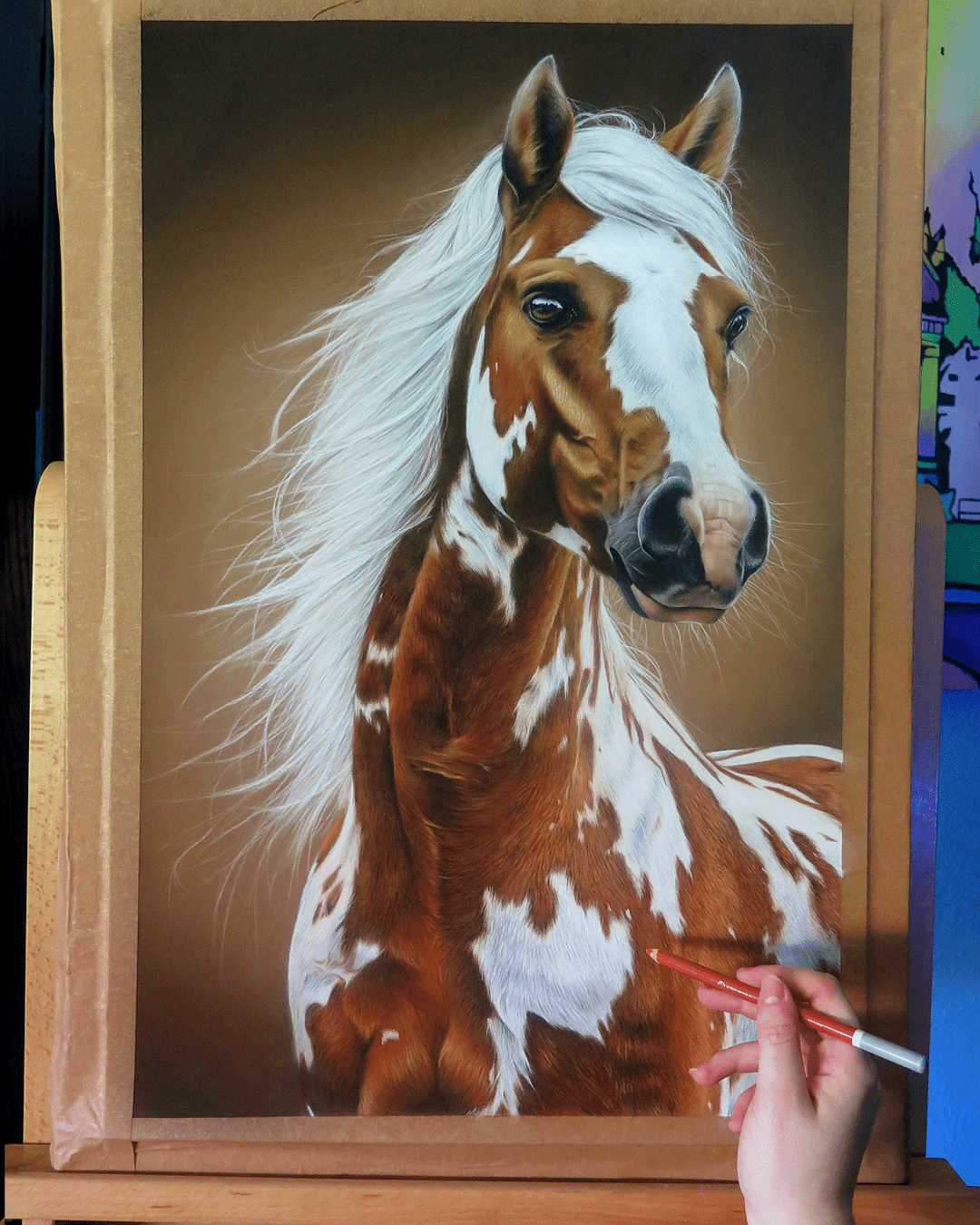 Retrato Caballo blanco y castaño