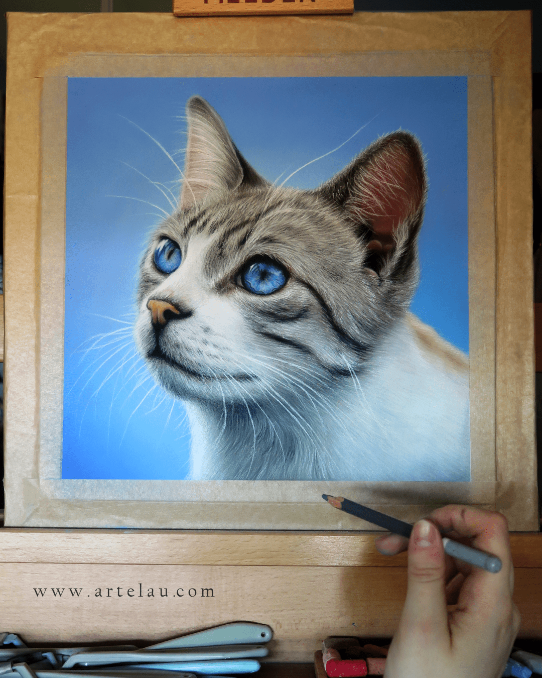 Retrato Gato gris ojos azules