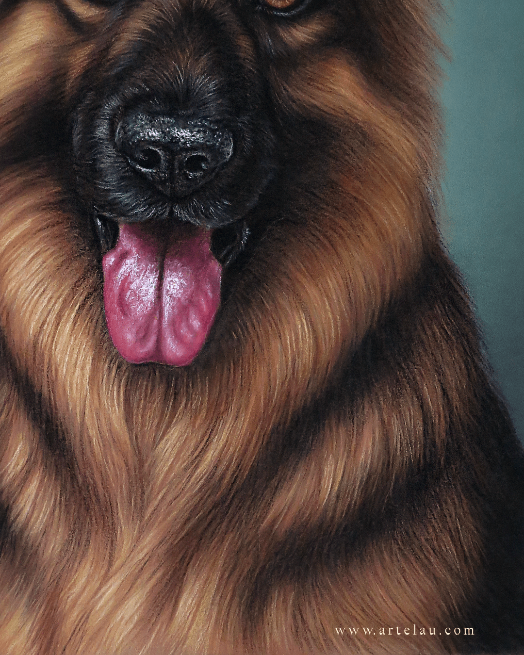 Retrato Pastor Alemán