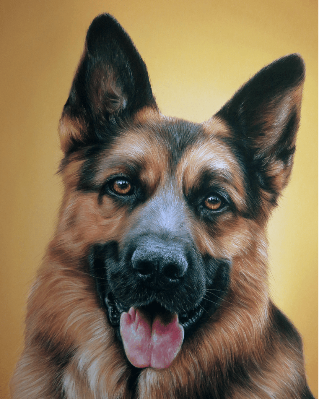 Retrato Pastor Alemán