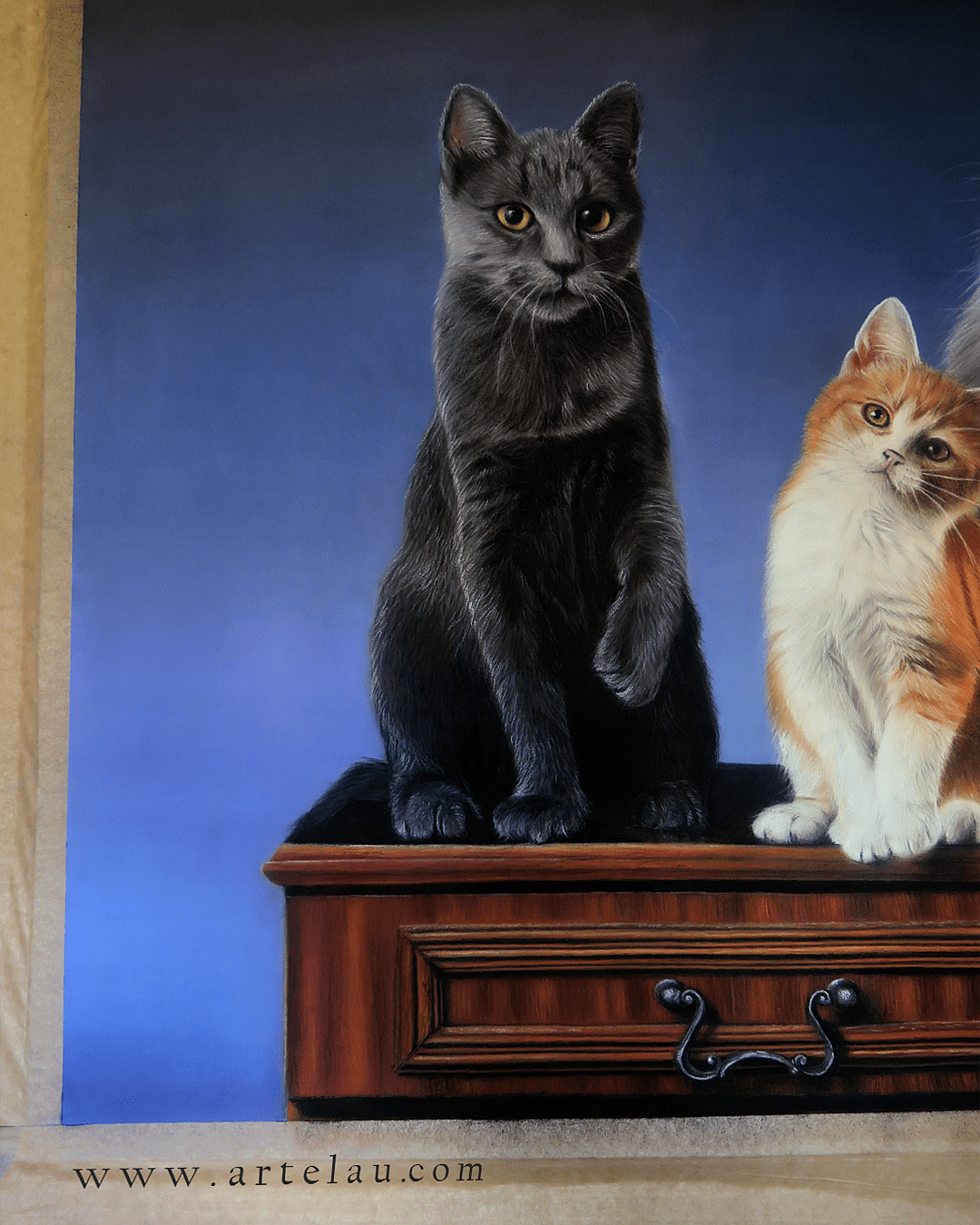 Retrato tres gatos sobre estantería