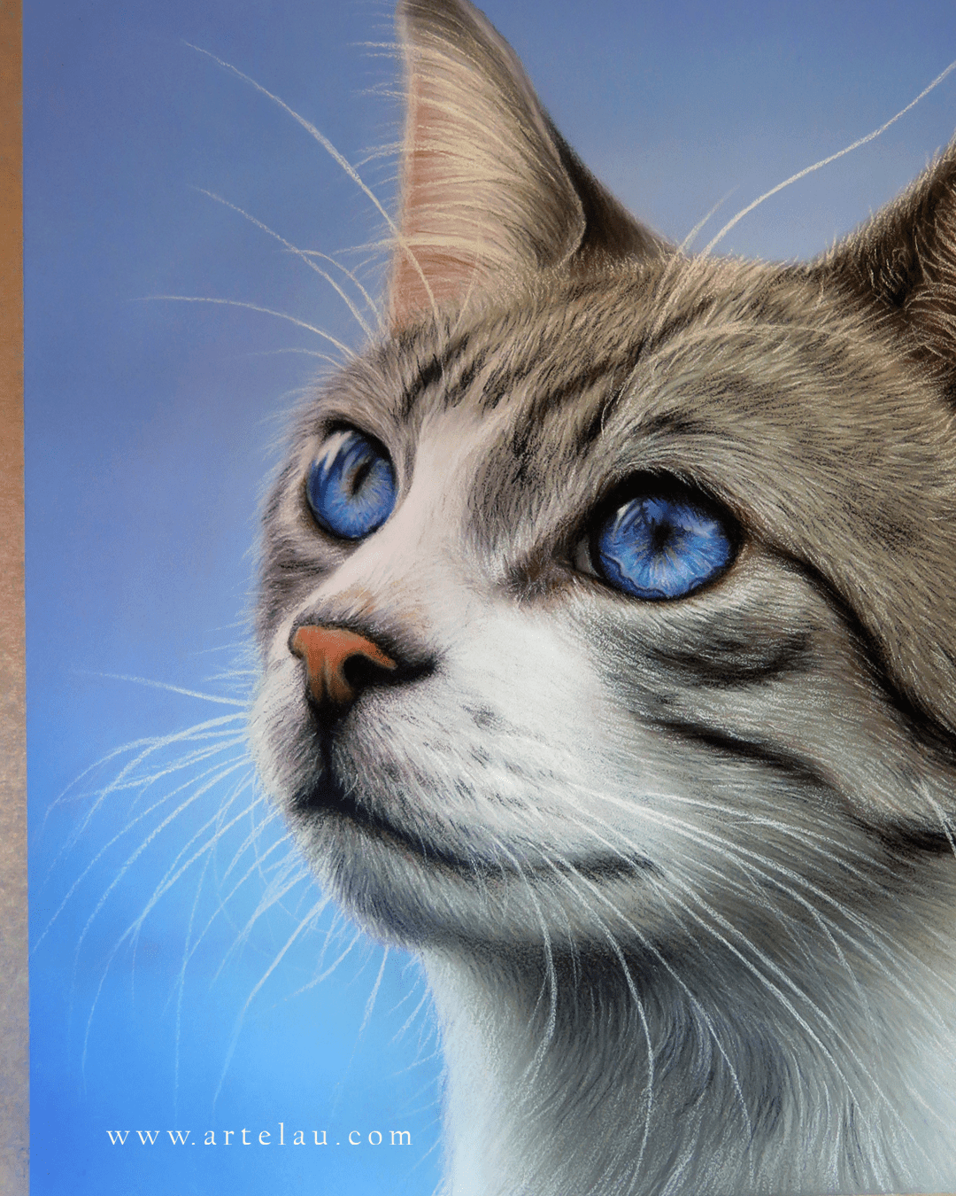 Retrato Gato gris ojos azules