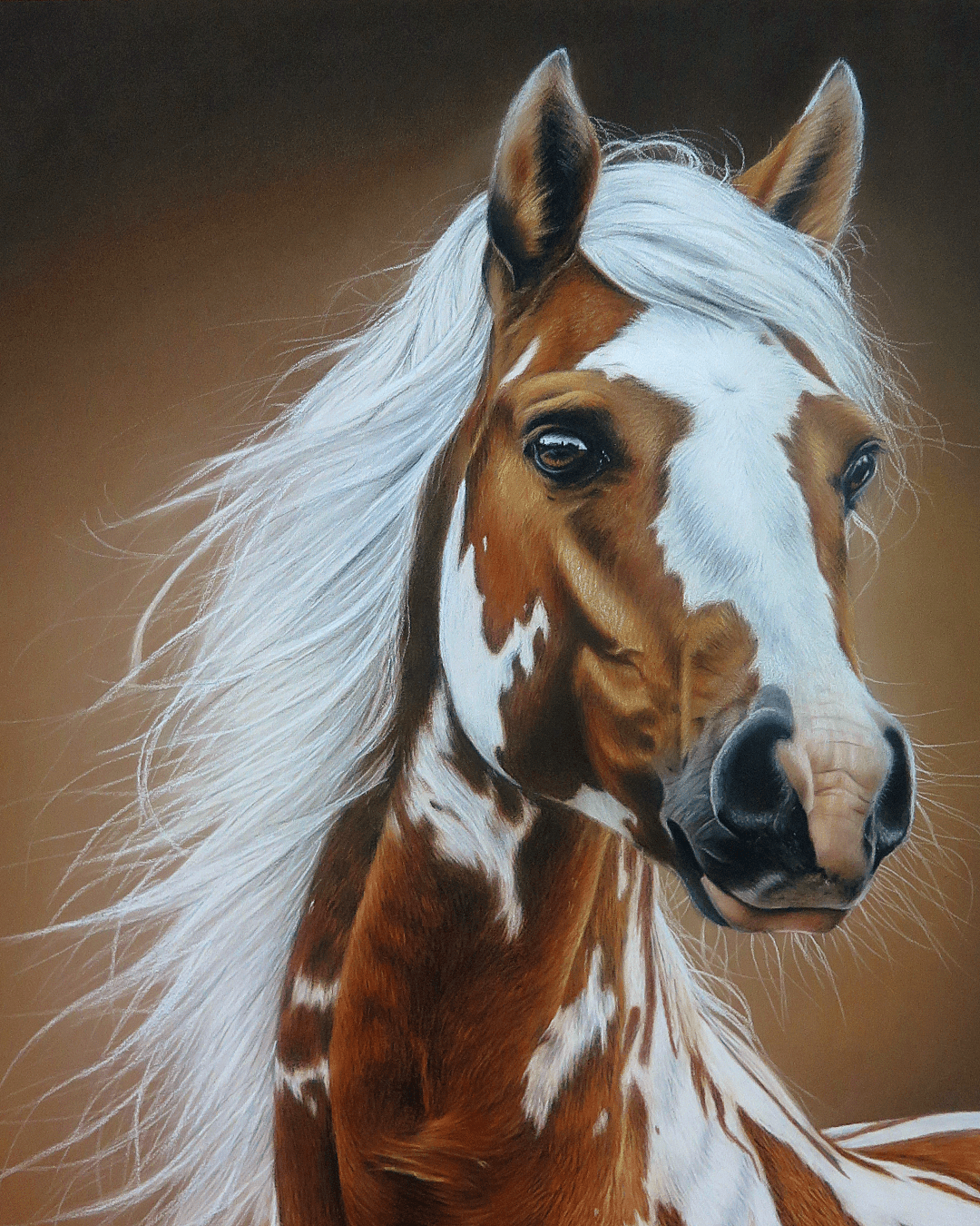 Retrato Caballo blanco y castaño