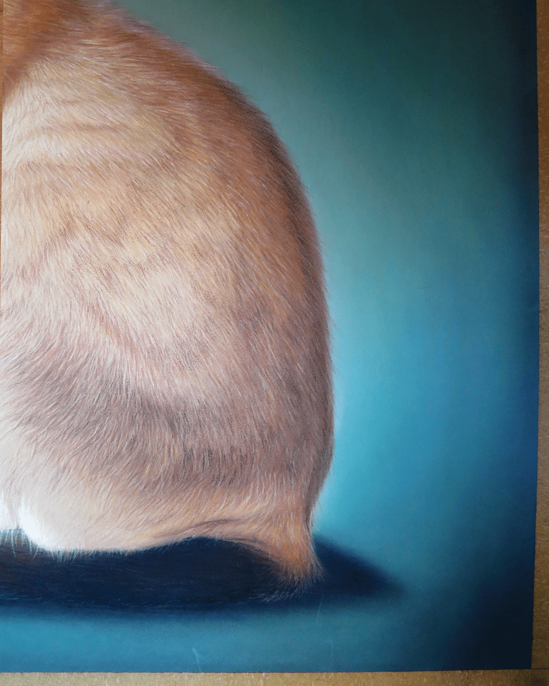 Retrato Gato Siamés