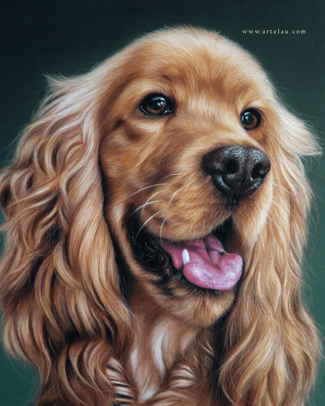 Retrato Cocker Spaniel