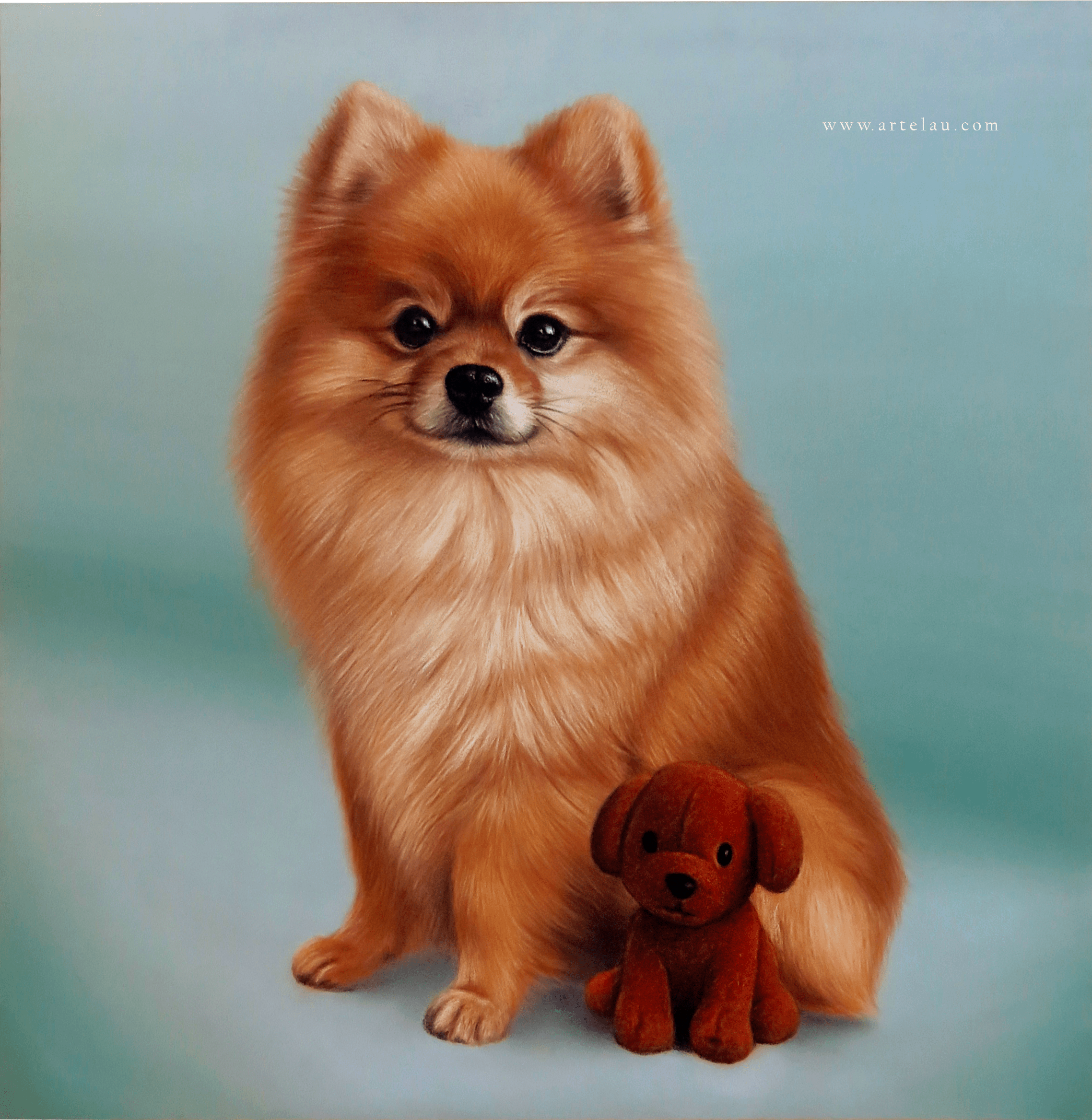 Retrato Pomeranian