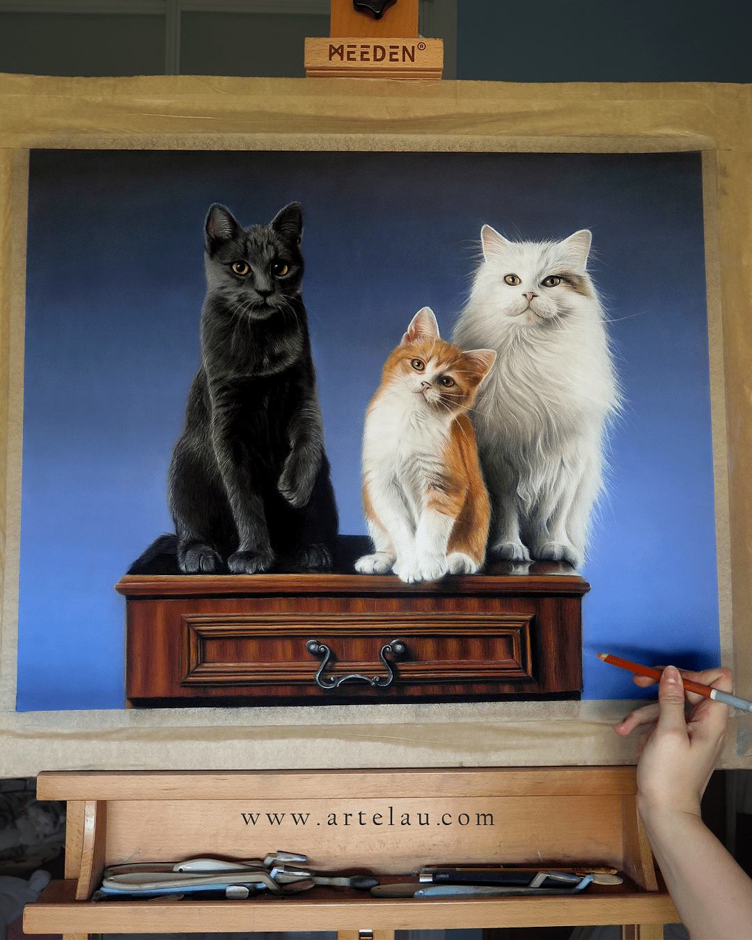 Retrato tres gatos sobre estantería