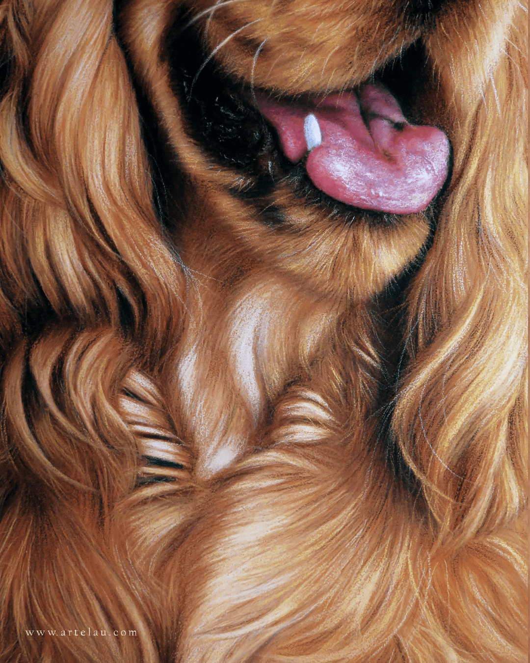 Retrato Cocker Spaniel