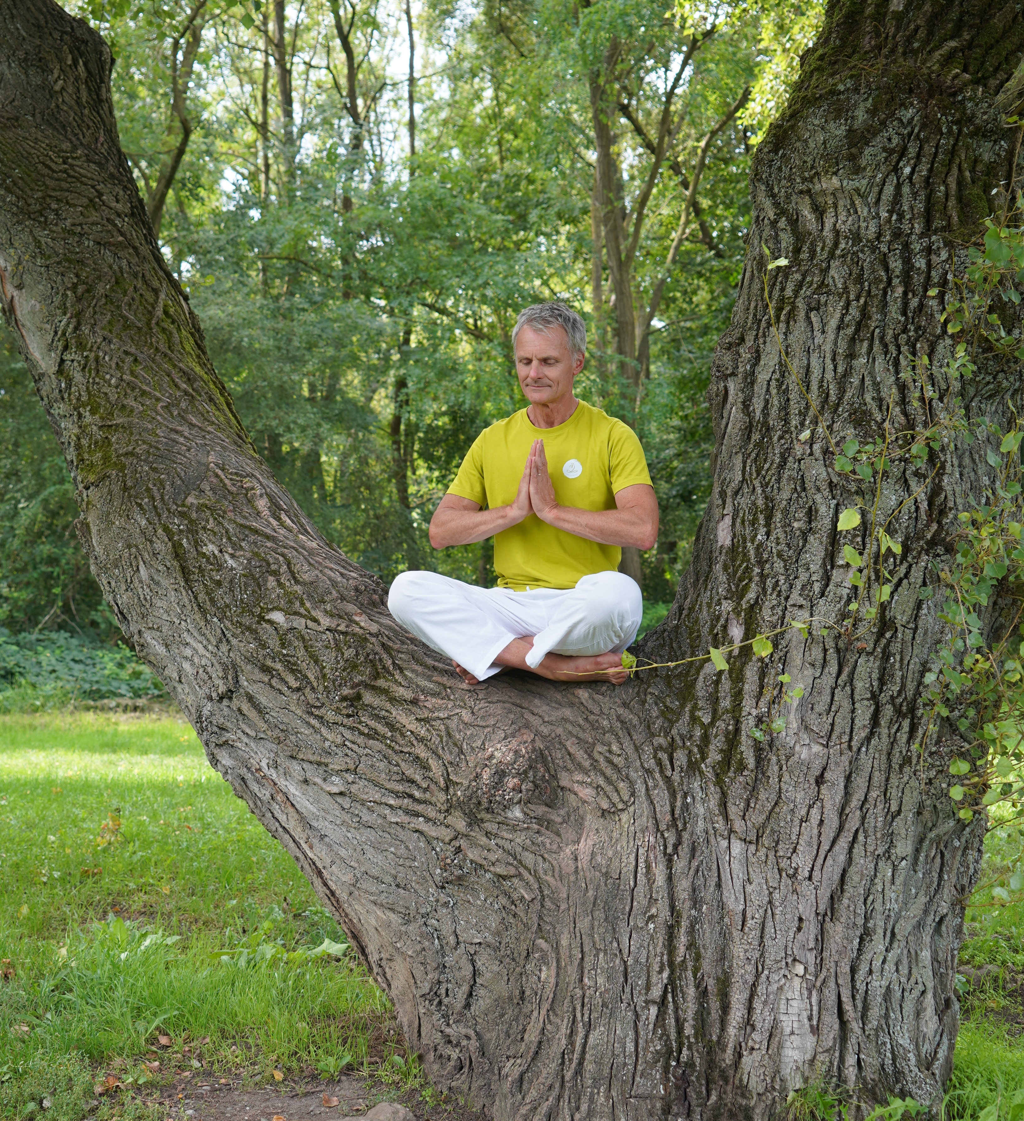 🌙 Yoga du Soir avec Gilles Lehmann