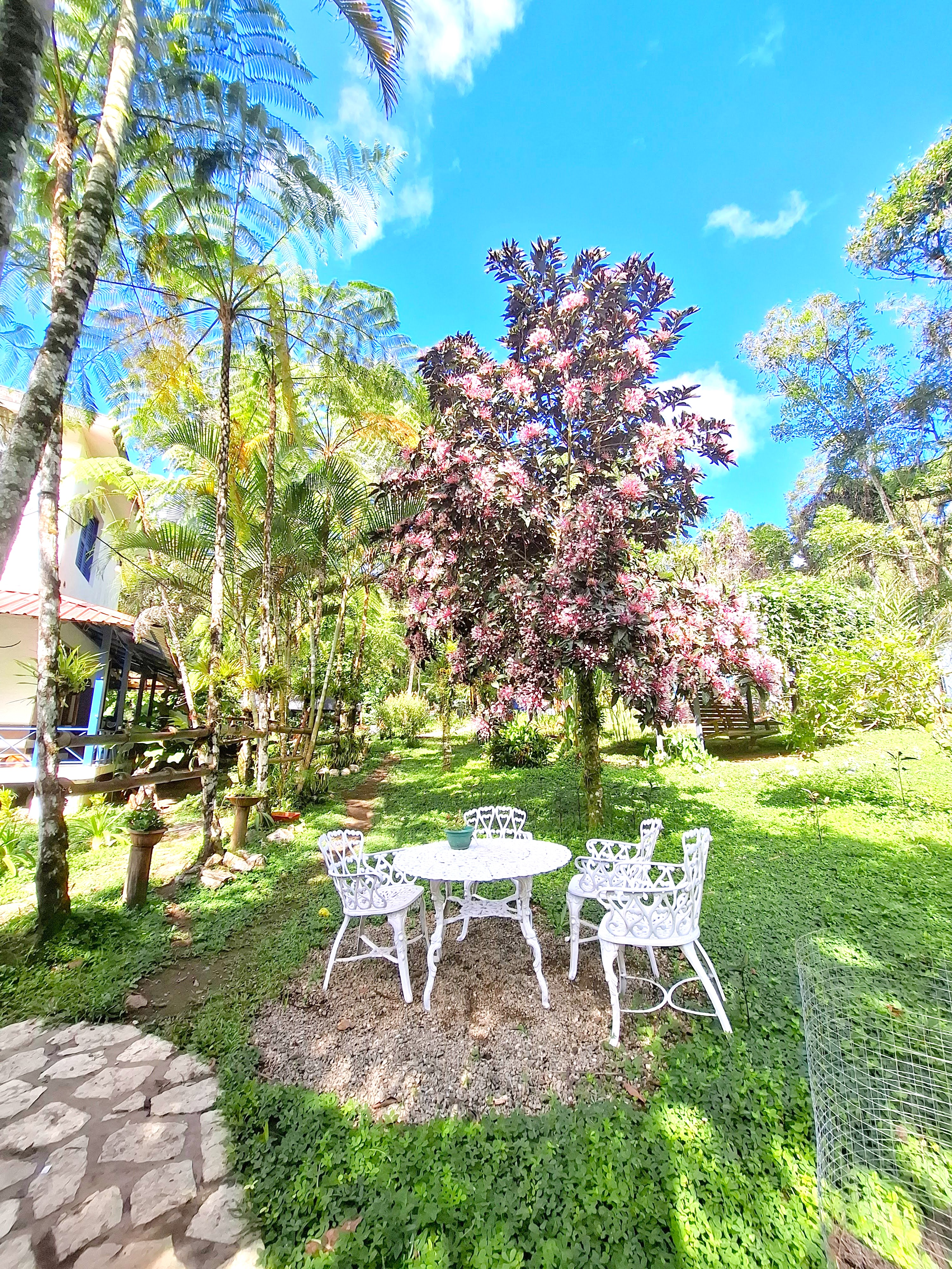 (12 pers) - 🌿✨ Majestuosa Casa Verde en Villa Clara:  Tu Refugio Entre las Montañas 🌱