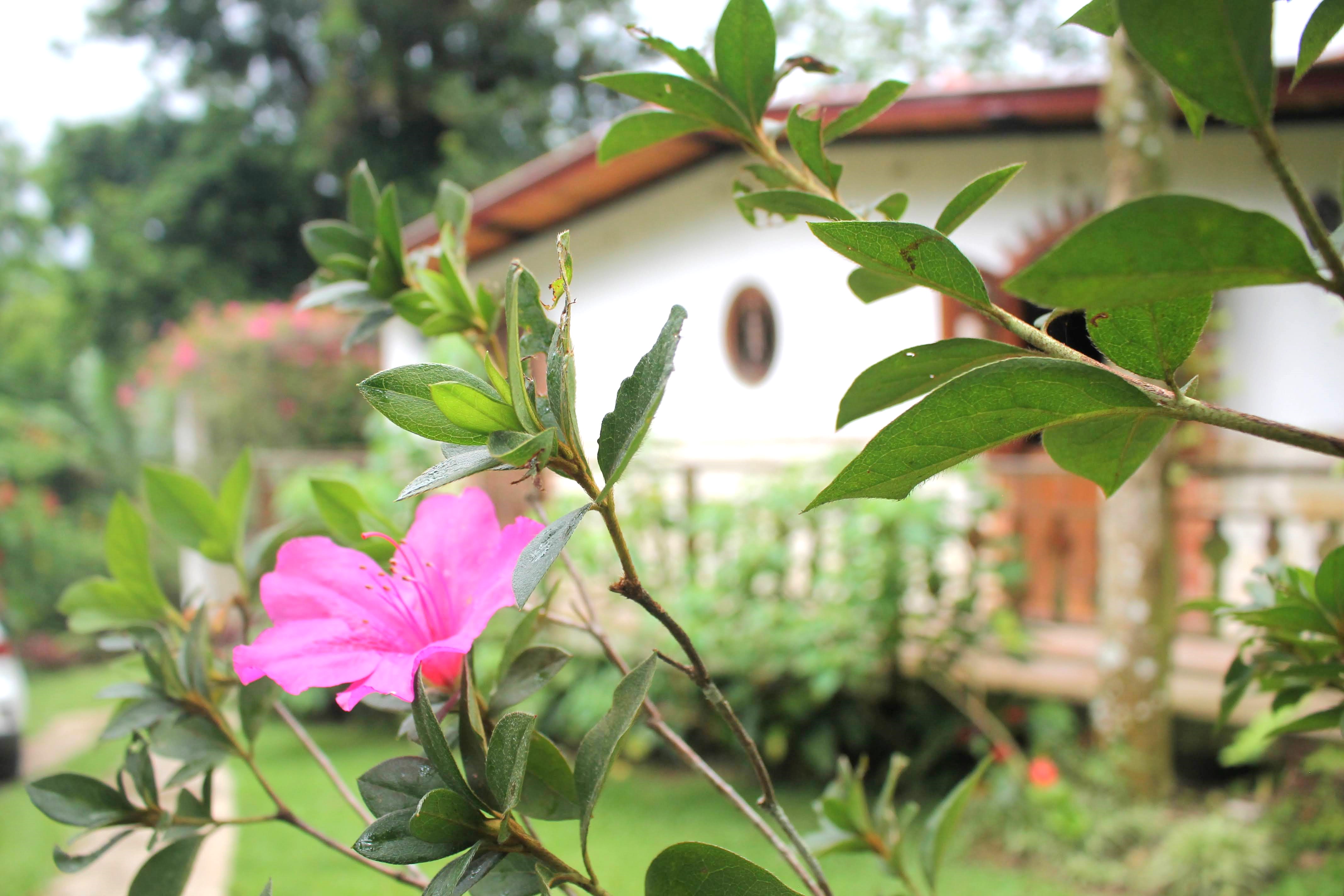 (6 pers) - 🌿 Casa Victoria: Refugio de Paz y Naturaleza 🌟