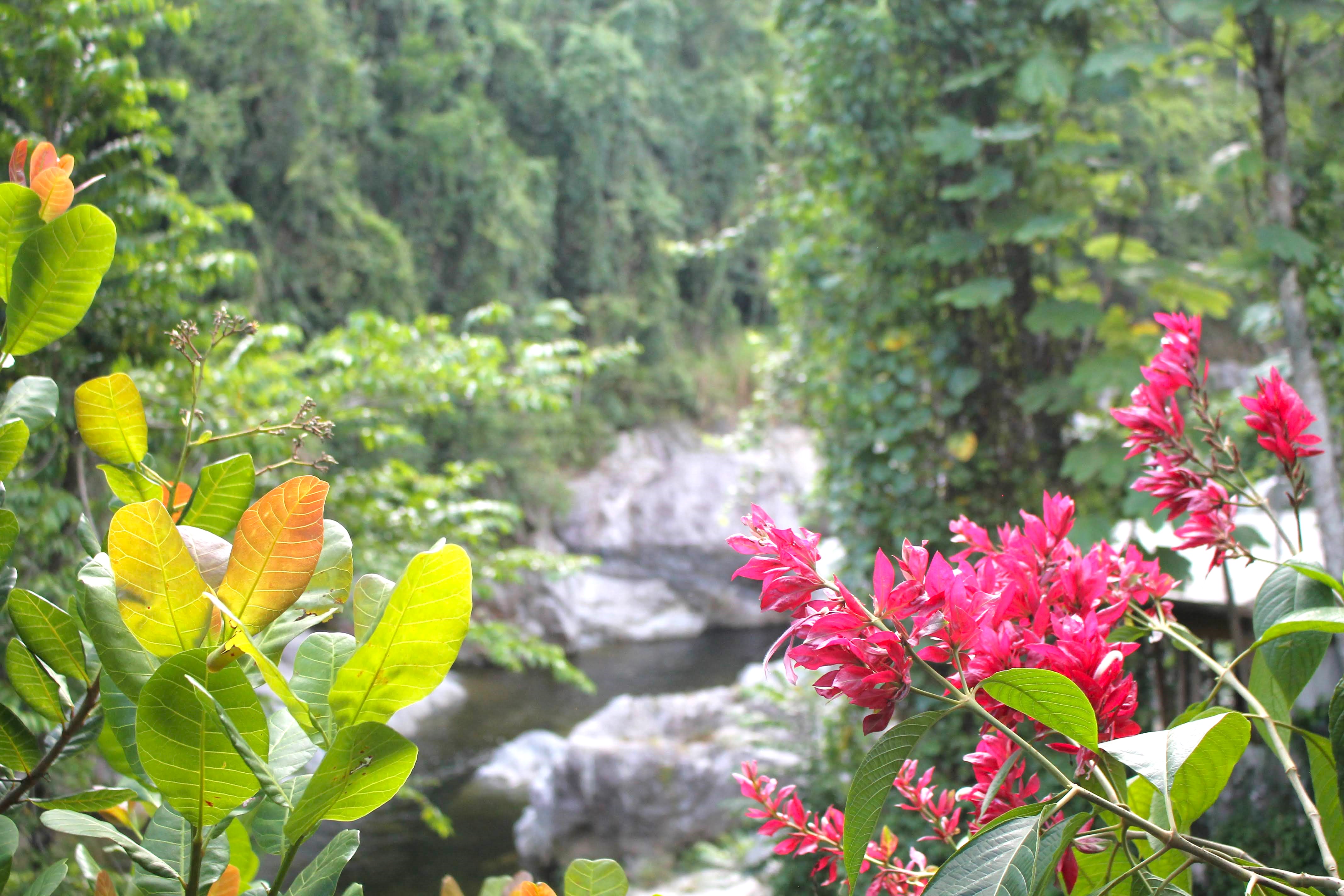 (4-8 pers) -🌿🏡 Casa Campesina en Villa Clara, El Refugio Ideal para Familias y Amigos 🌺✨
