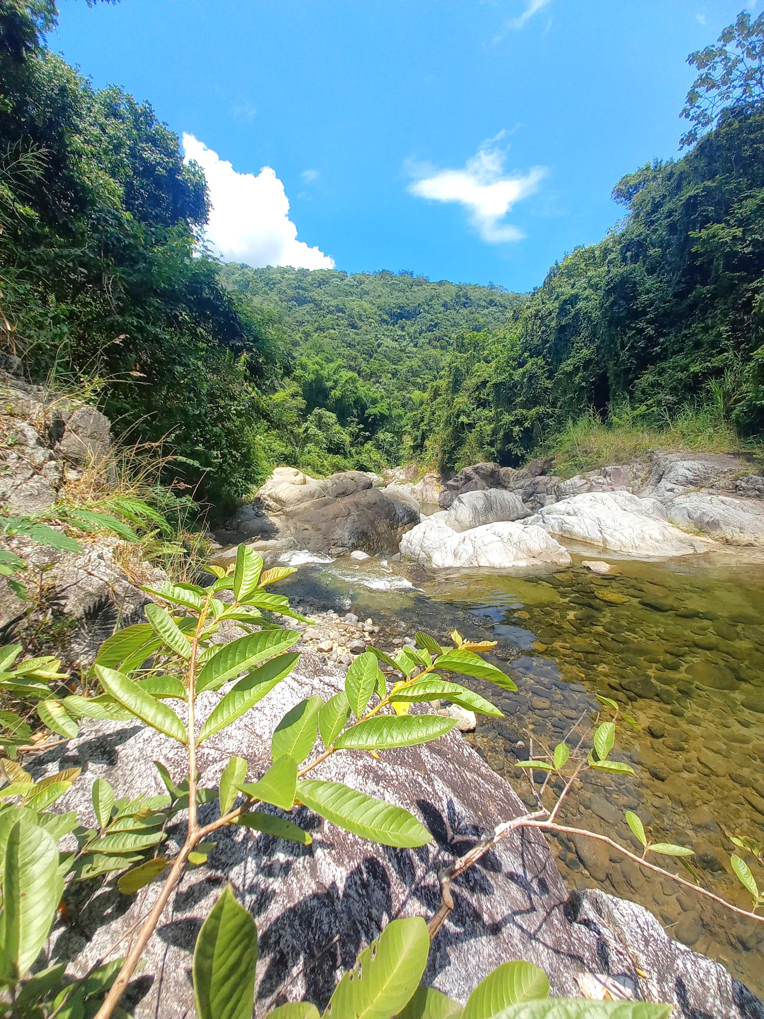 (30 adults + 10 niños) - 🌿✨ Complejo Ecoturístico Villa Clara, ¡Tu Escapada Perfecta en Los Cacaos! 🌱
