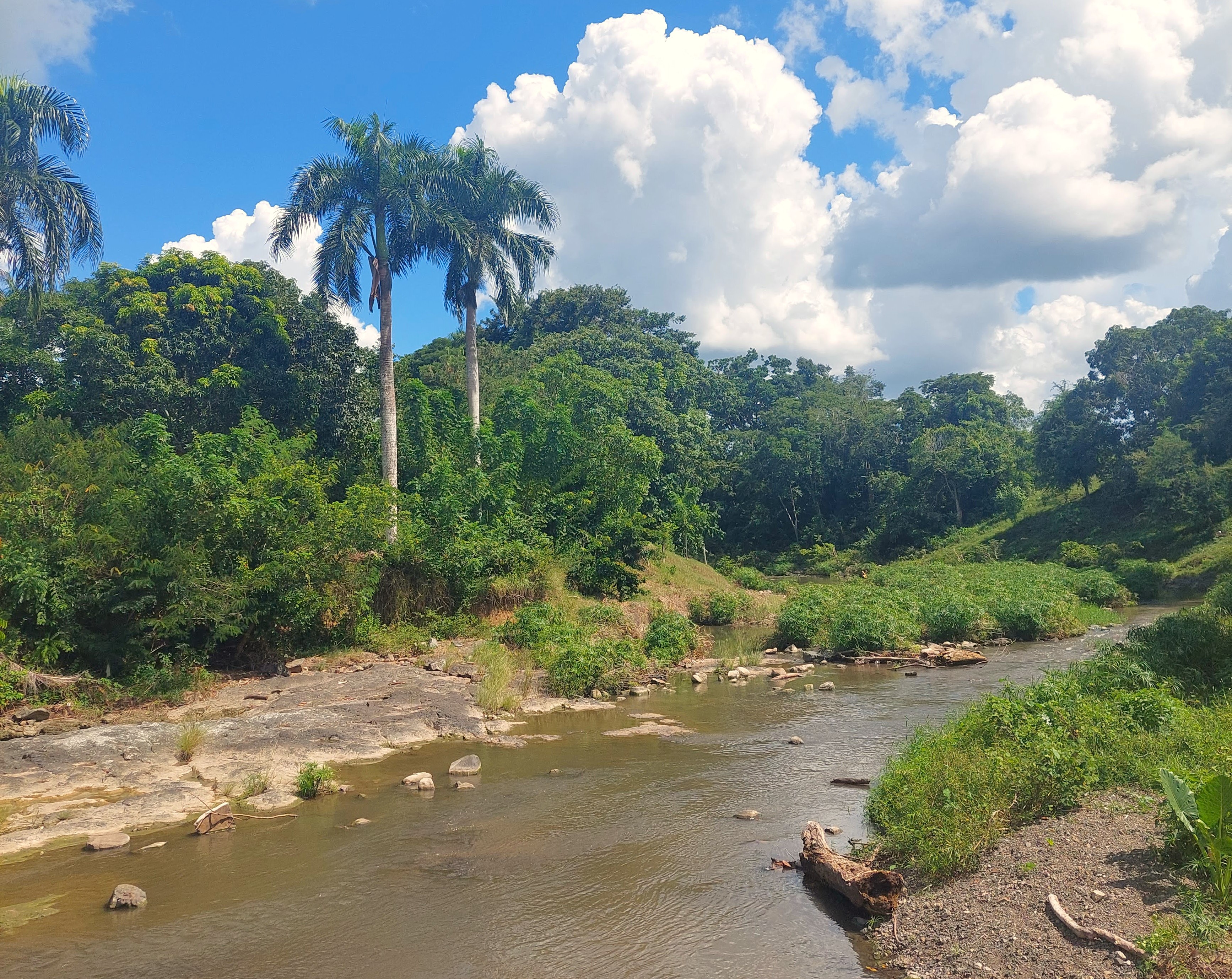 (18 pers) - 🌿 Hacienda Inmersa en Naturaleza