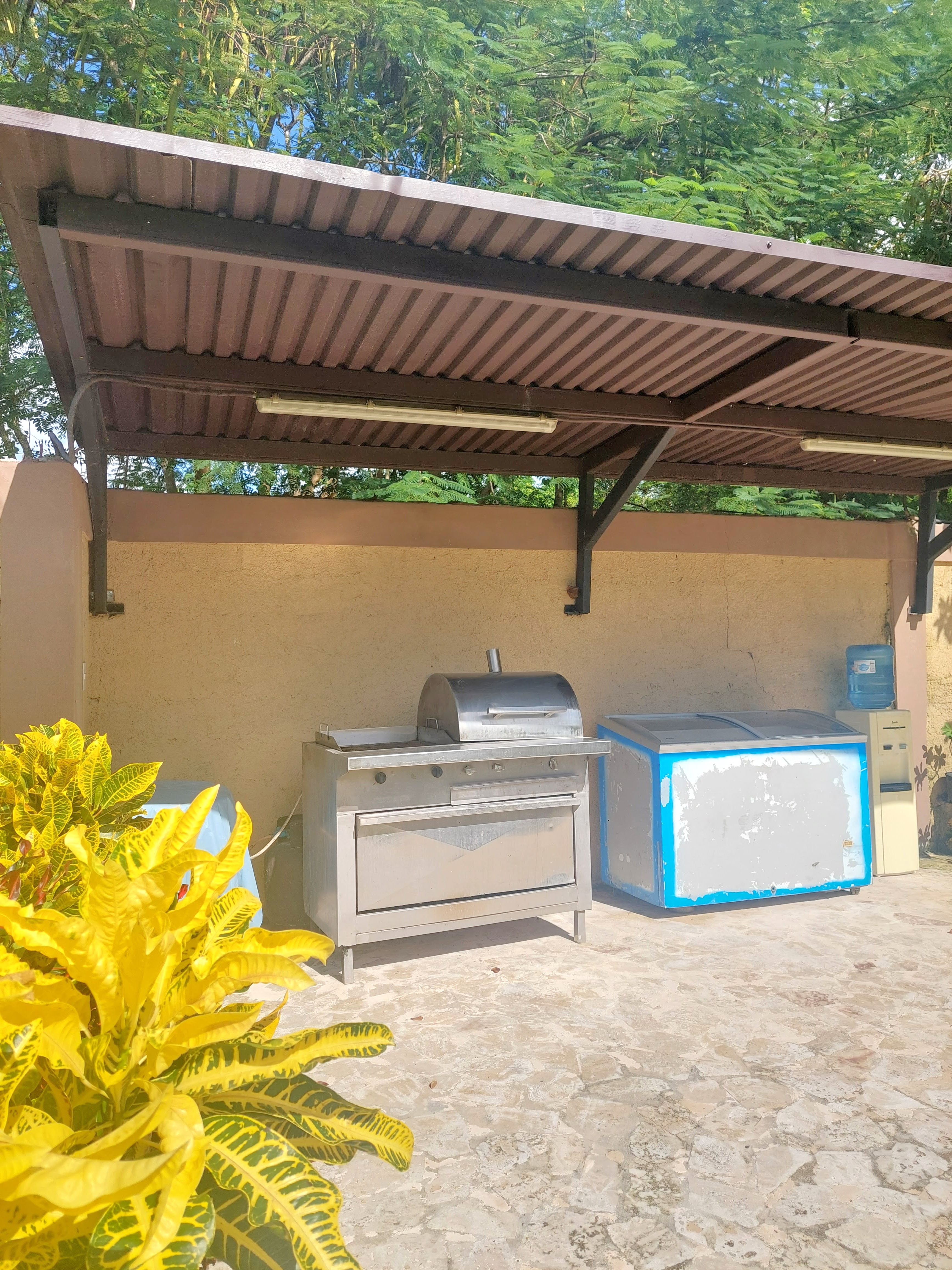 🌟 Finca Abuelos: El Escape Perfecto 🌿