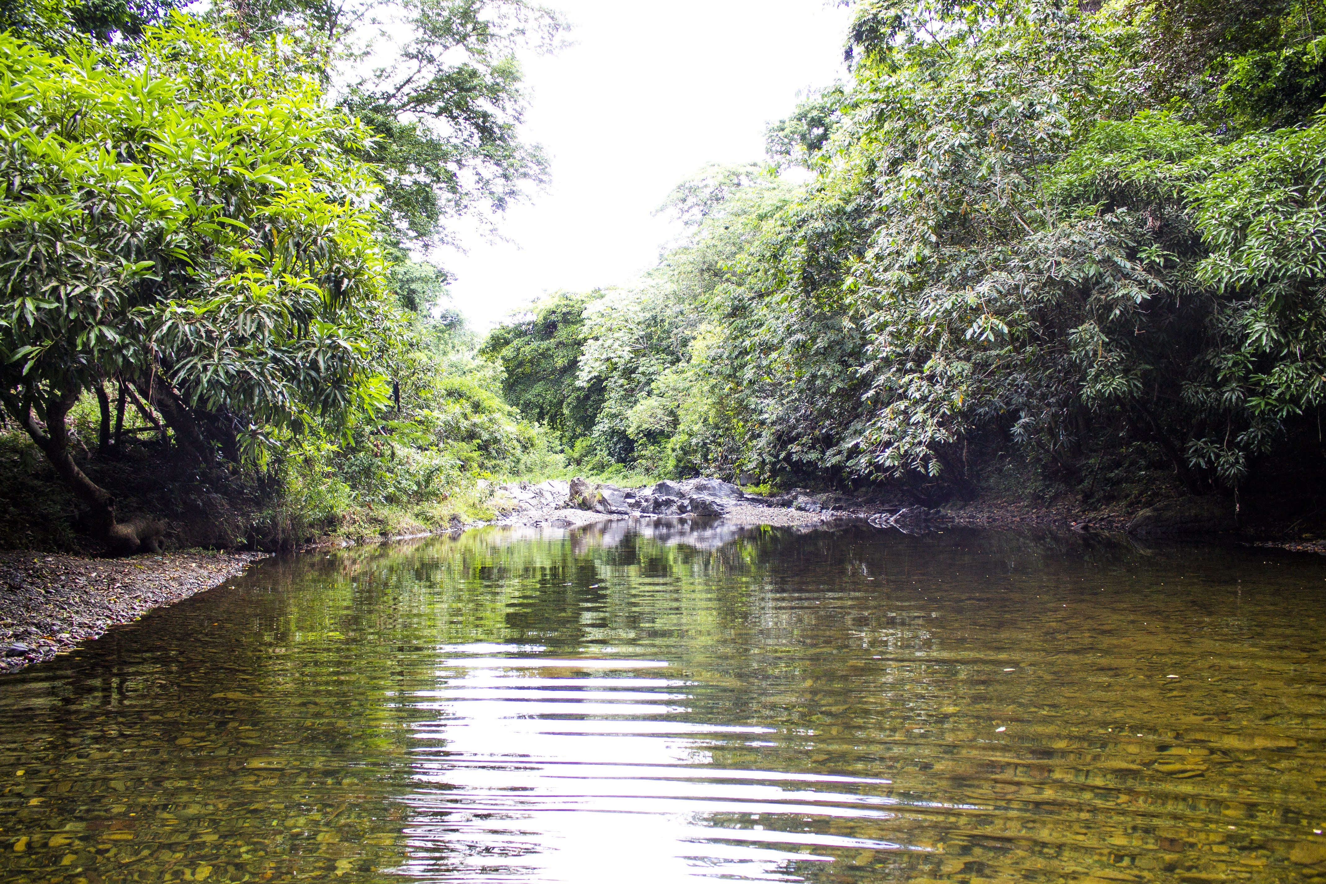 🌿 Rancho La Herradura, Escapa a la Tranquilidad