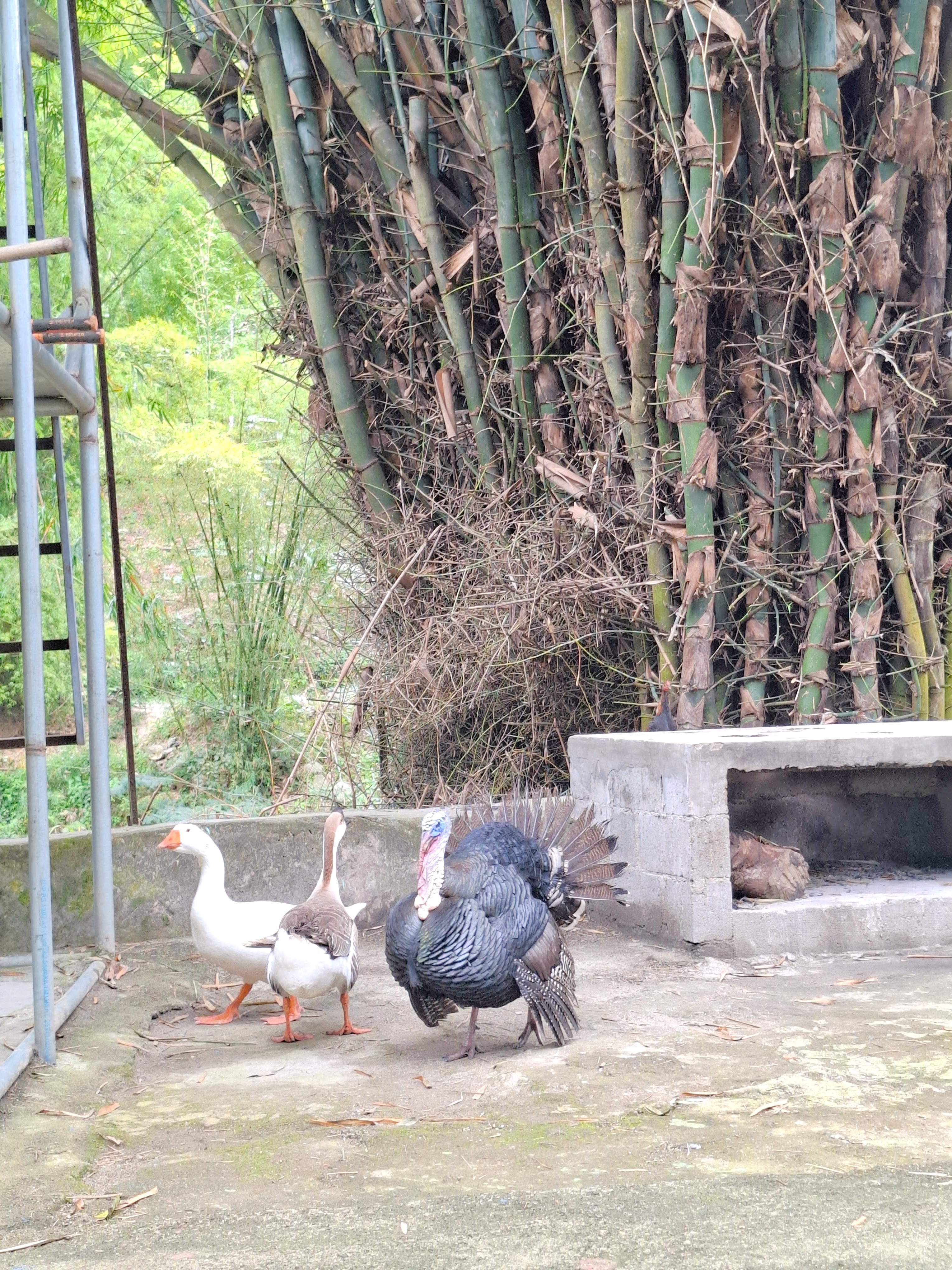 (4 pers) - 🌿✨ Villa Familiar, Refugio de Paz🌱