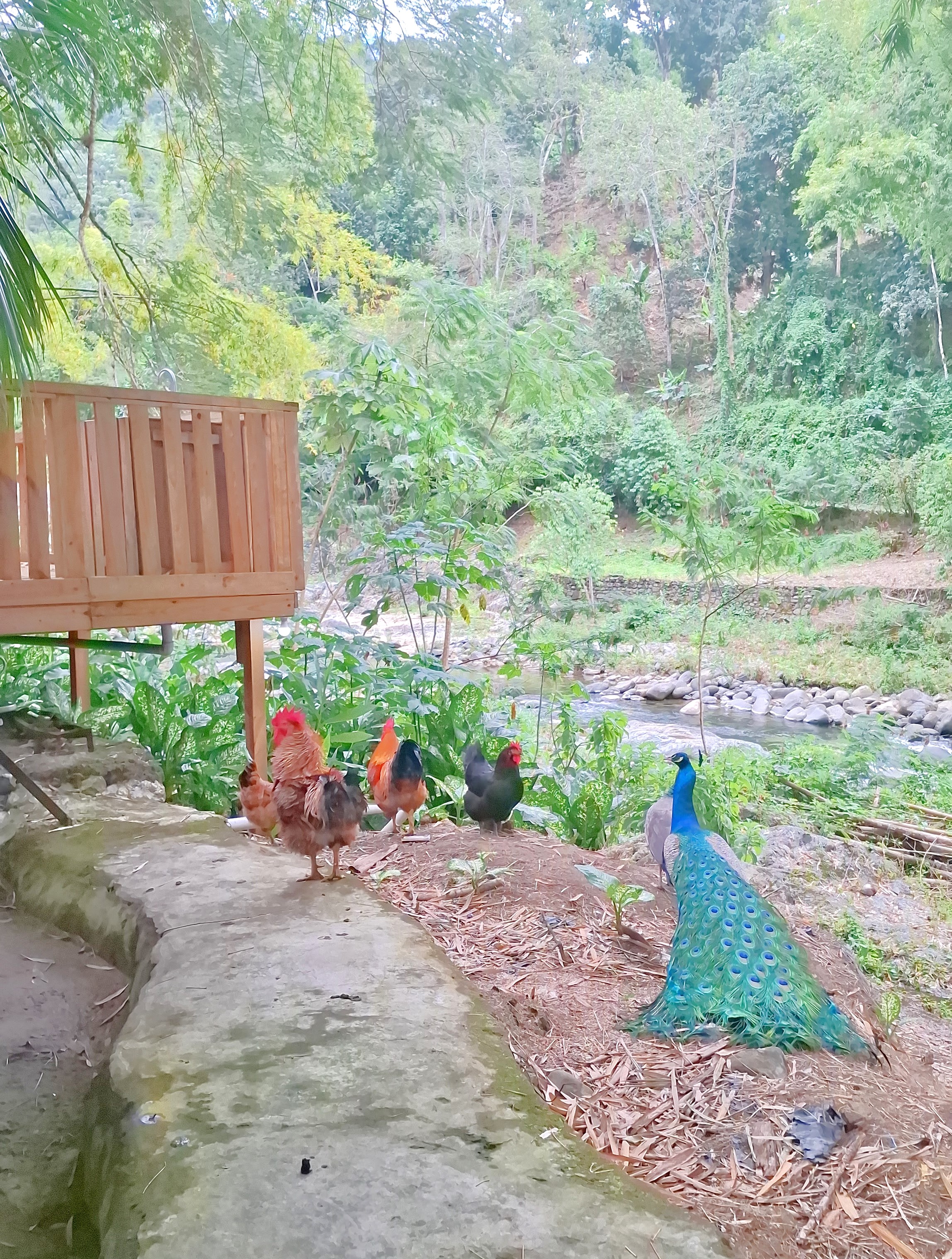 (4 pers) - 🌿✨ Habitación Familiar, Descanso en la naturaleza🌱