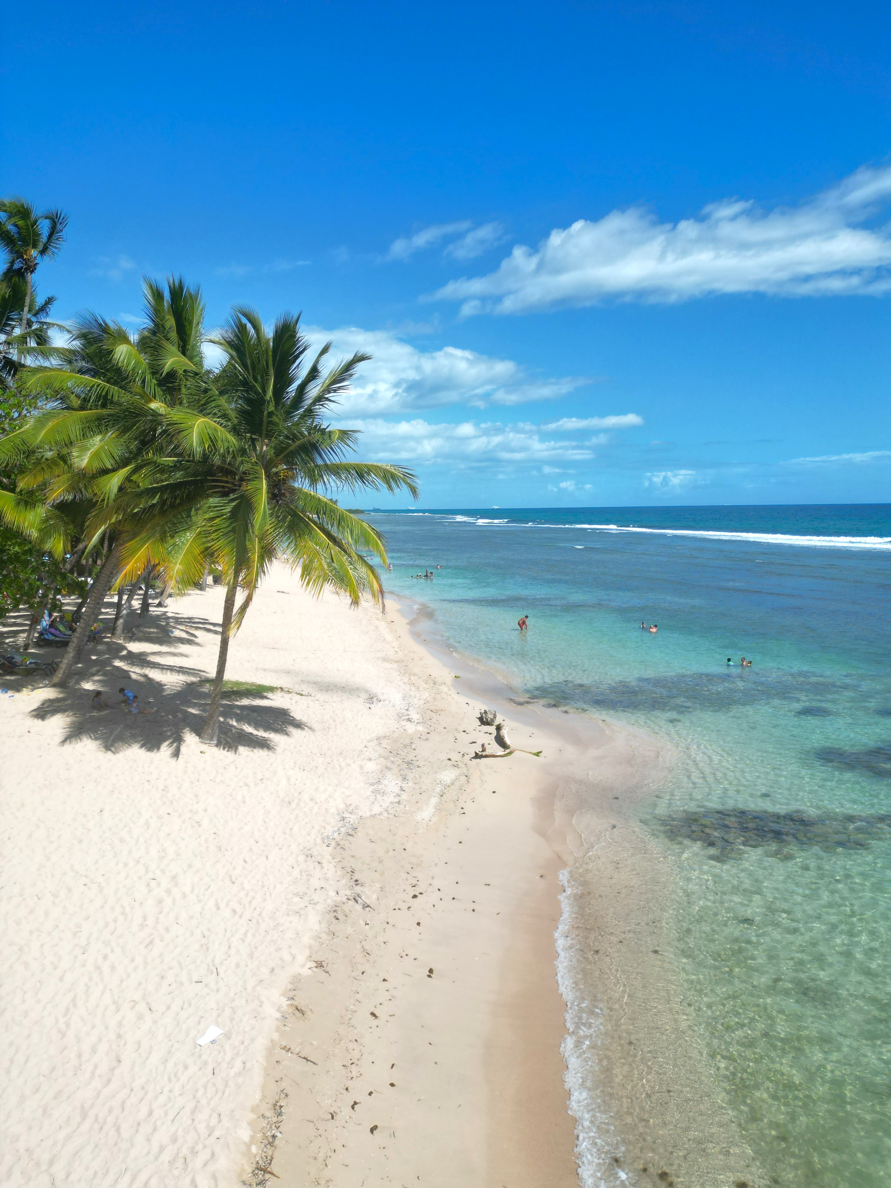 (16 pers) - ✨ Descanso Familiar a Pasos de la Playa 🌴