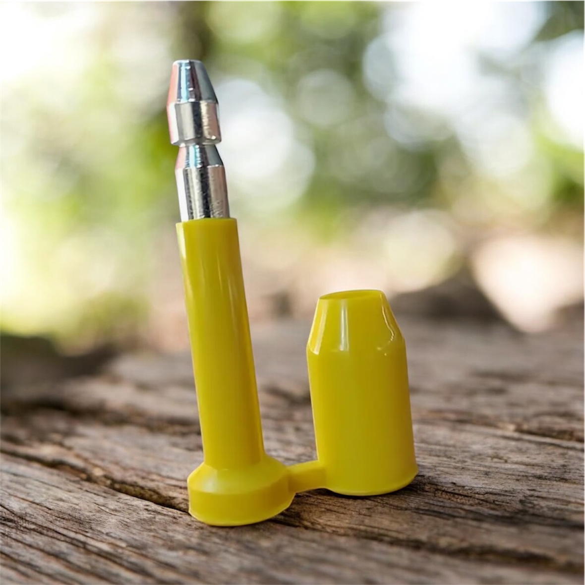 Scellé de sécurité à boulon