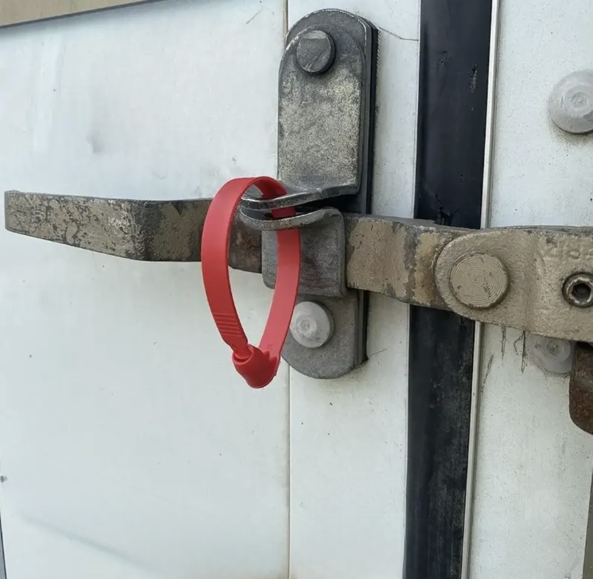 Scellés en plastique pour citerne et conteneur