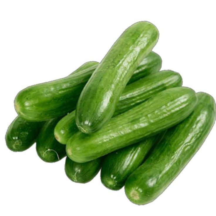 Fresh Cucumbers