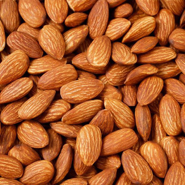 American badam large Almonds