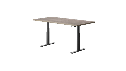 Eleva Standing Desk