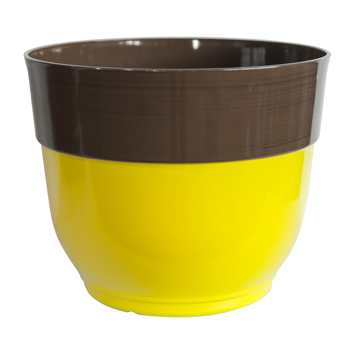 Colorful Flower Pot