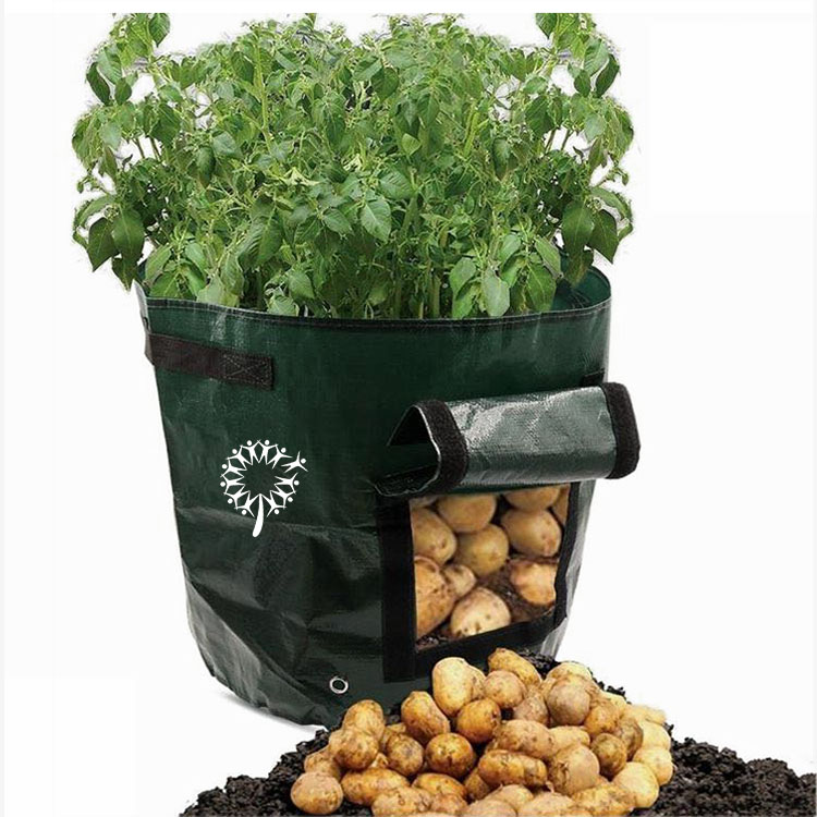 Potato Grow Bag