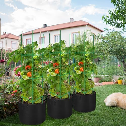 Tomato Plant Grow Bags with Trellis