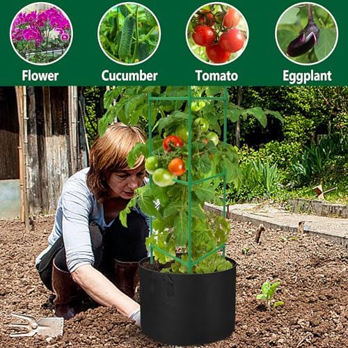 Garden Plant Support Cage